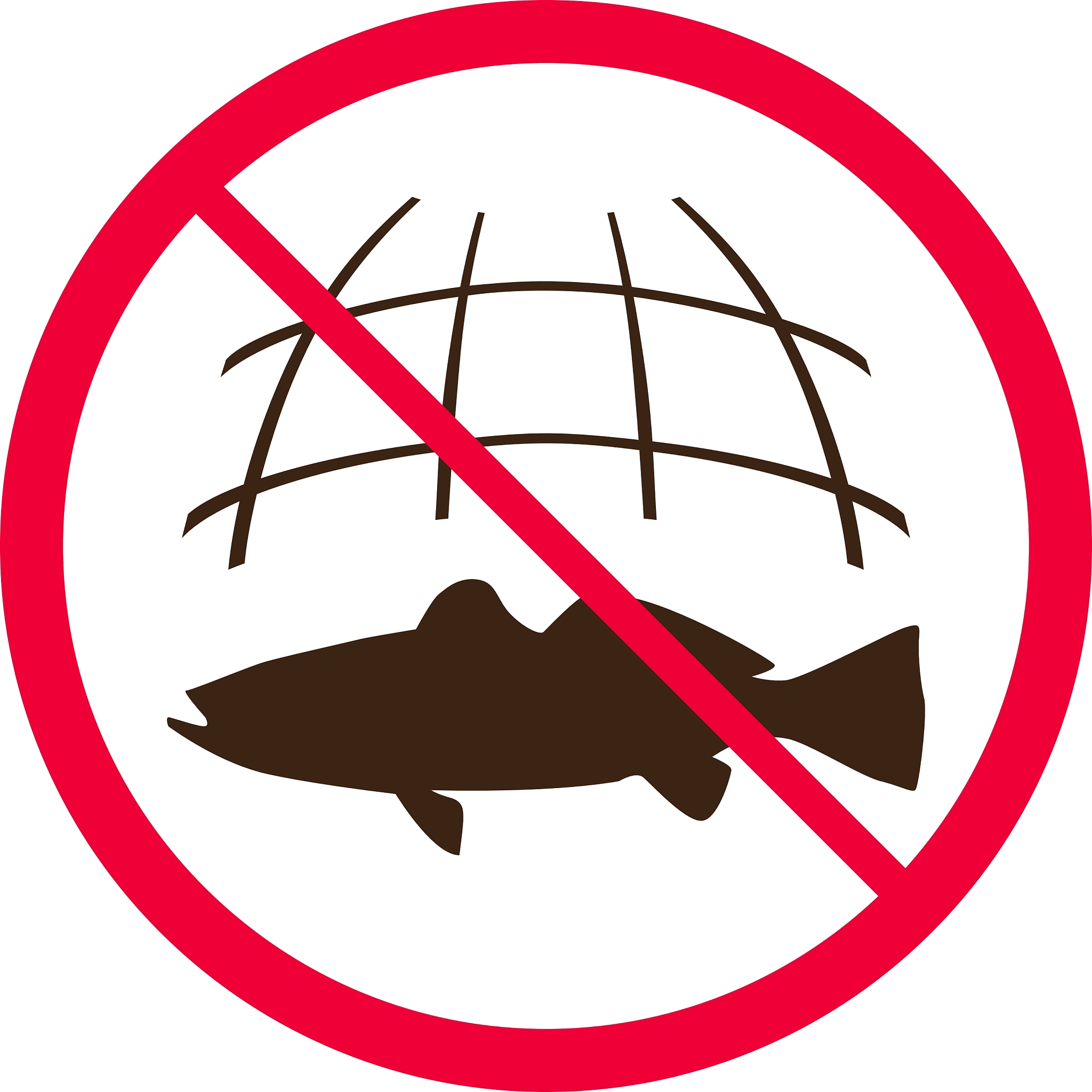 钓鱼安全指南：如何预防触电事故