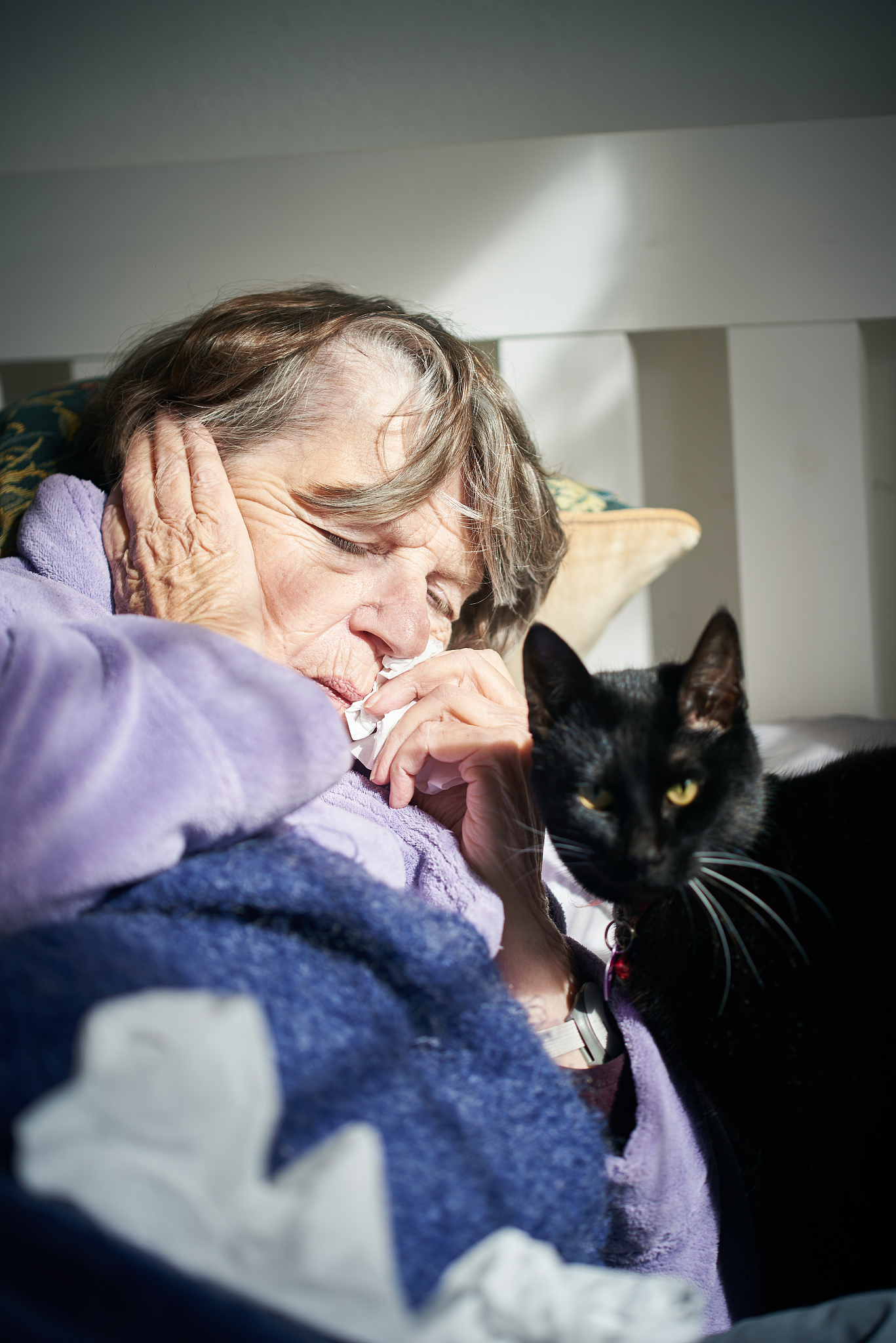 猫脸老太太故事