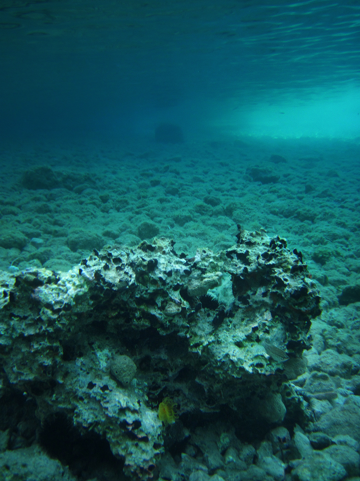 underwater beach