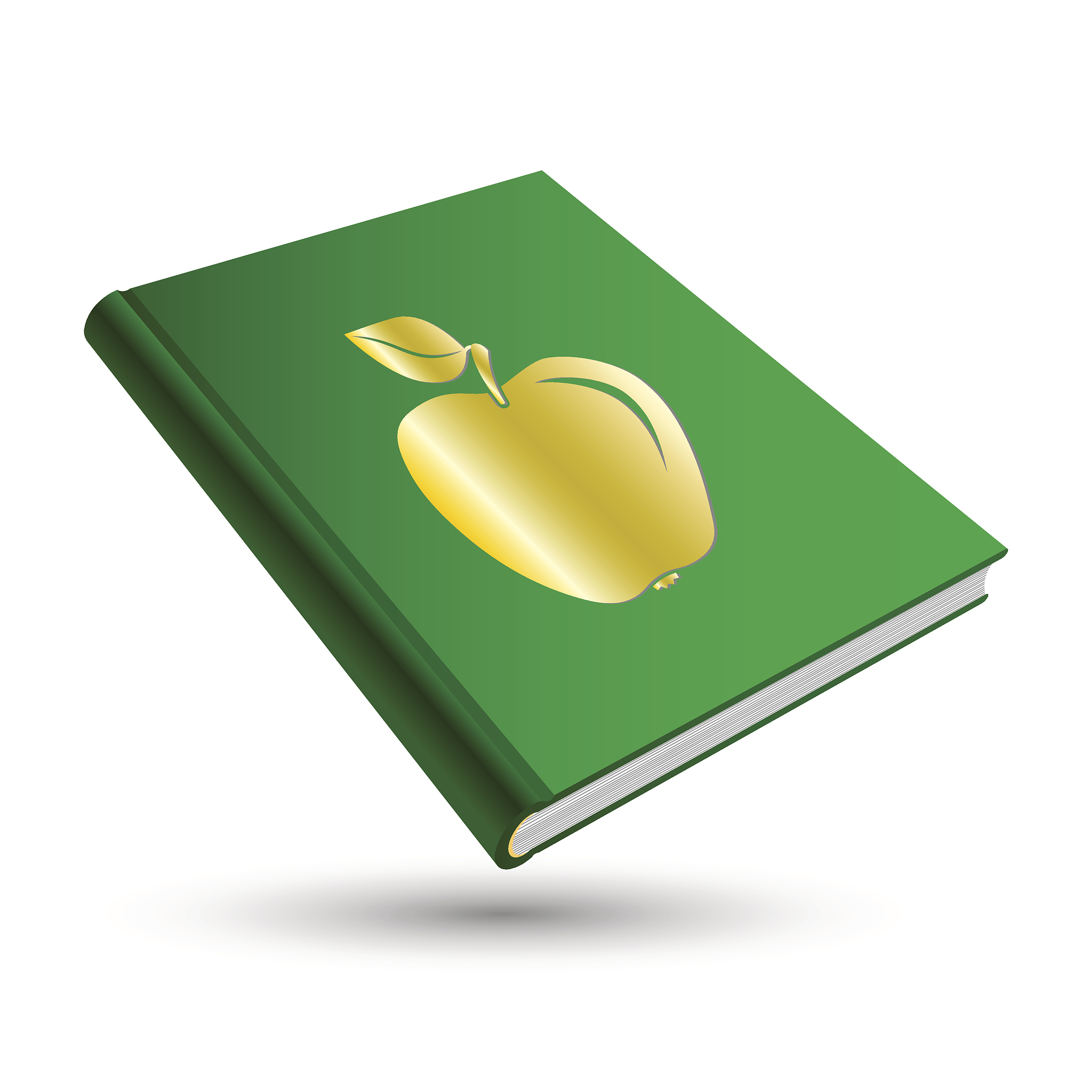 判断题：参考工具书的类型