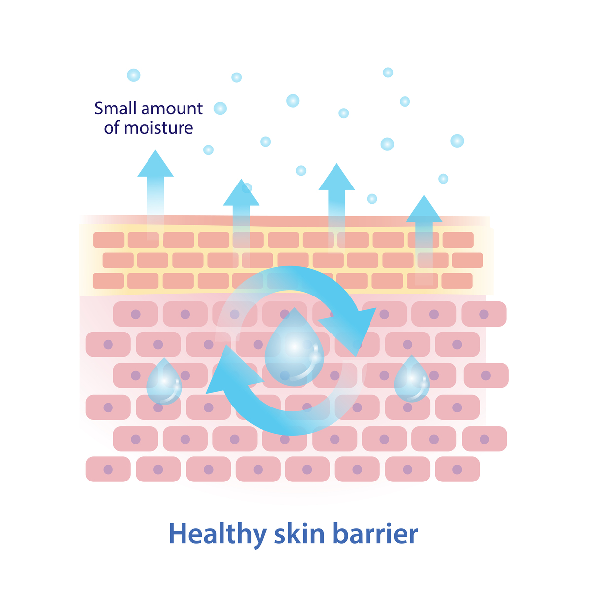 想学健康管理师应去哪里？