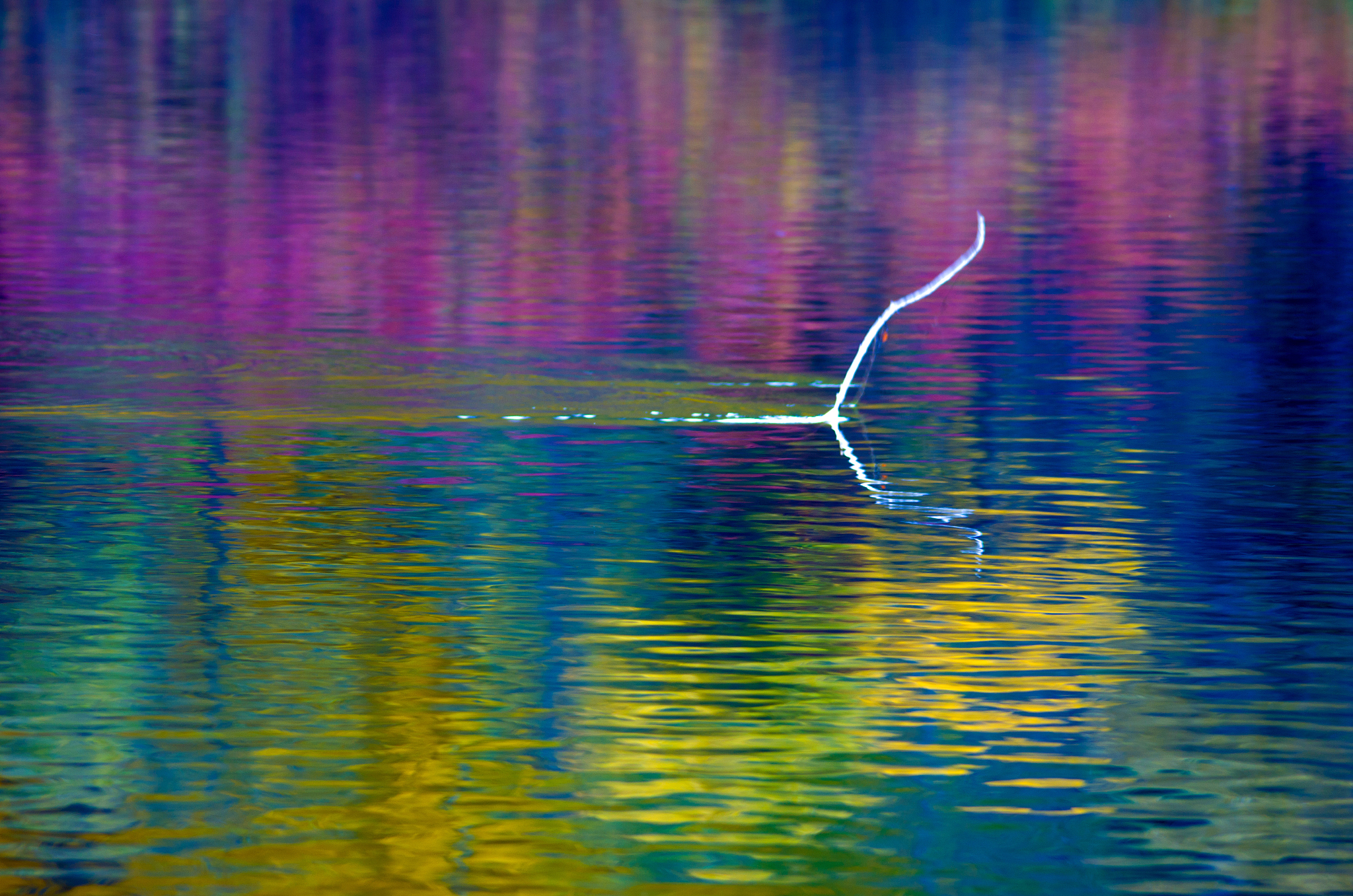 旅游艺术专业就业前景分析：除了旅游，你还能做什么？