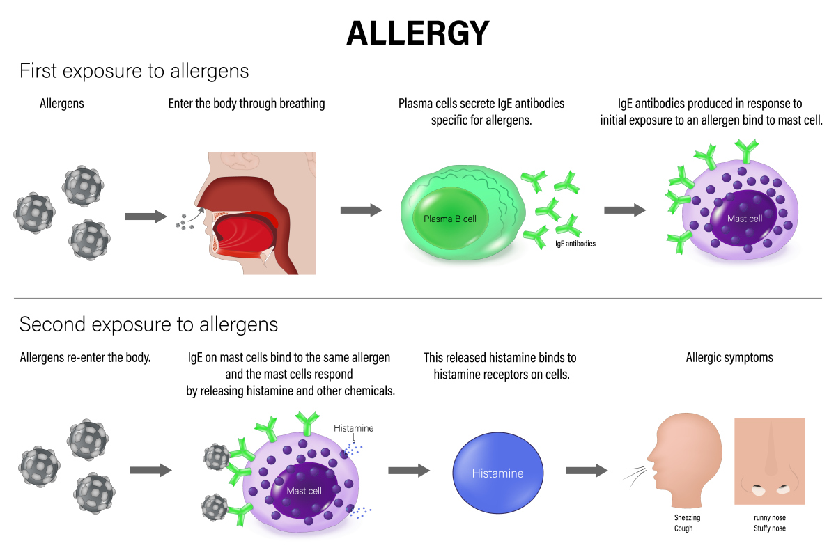 Respiratory Infectious Diseases: Prevention and Symptoms Explained