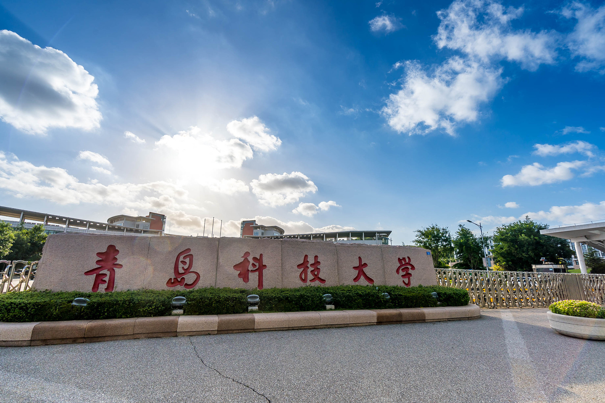 山东:青岛科技大学