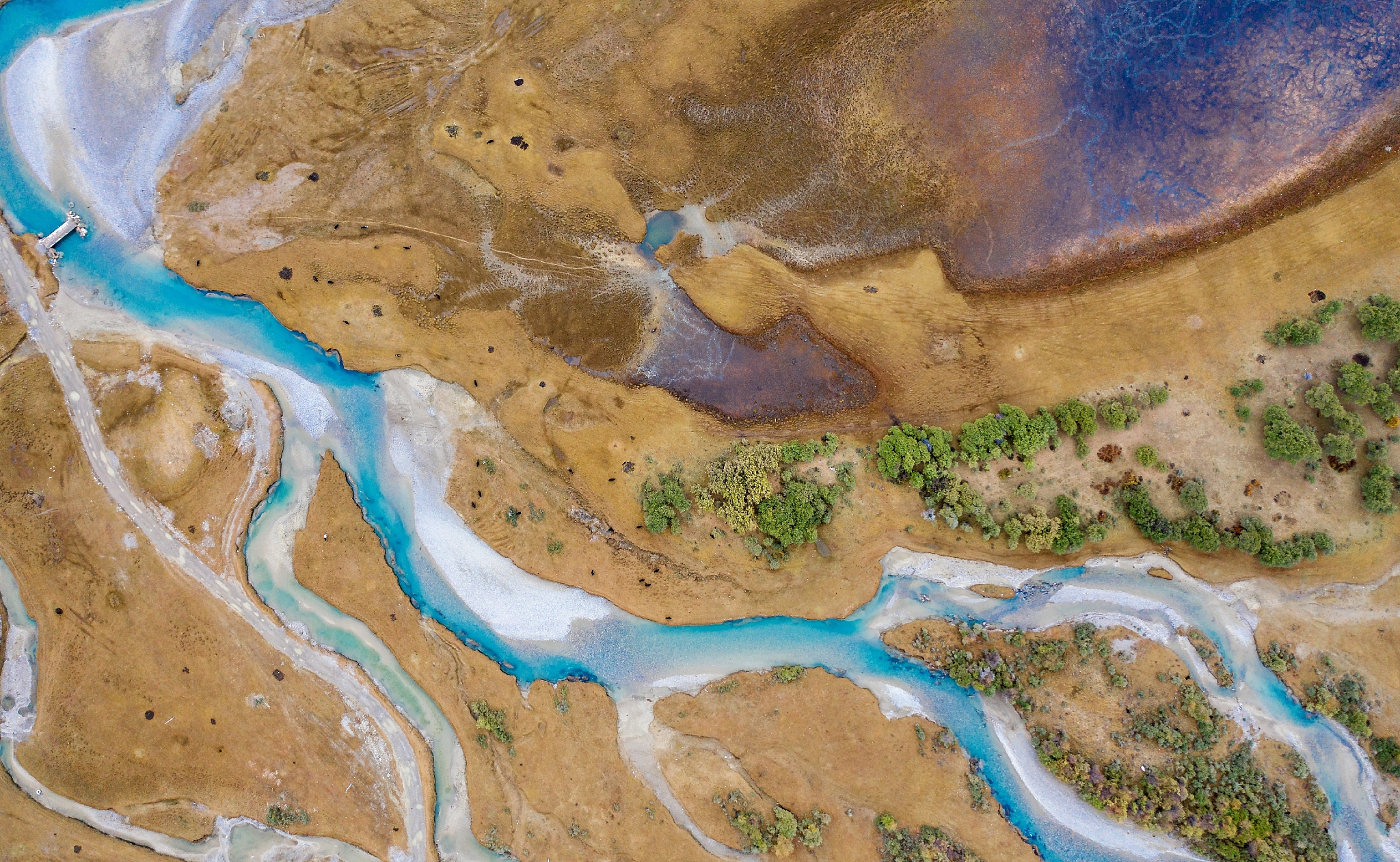 新疆的南疆和北疆在地震、地质、气象、洪水、干旱、森林火灾等自然灾害之间的差异