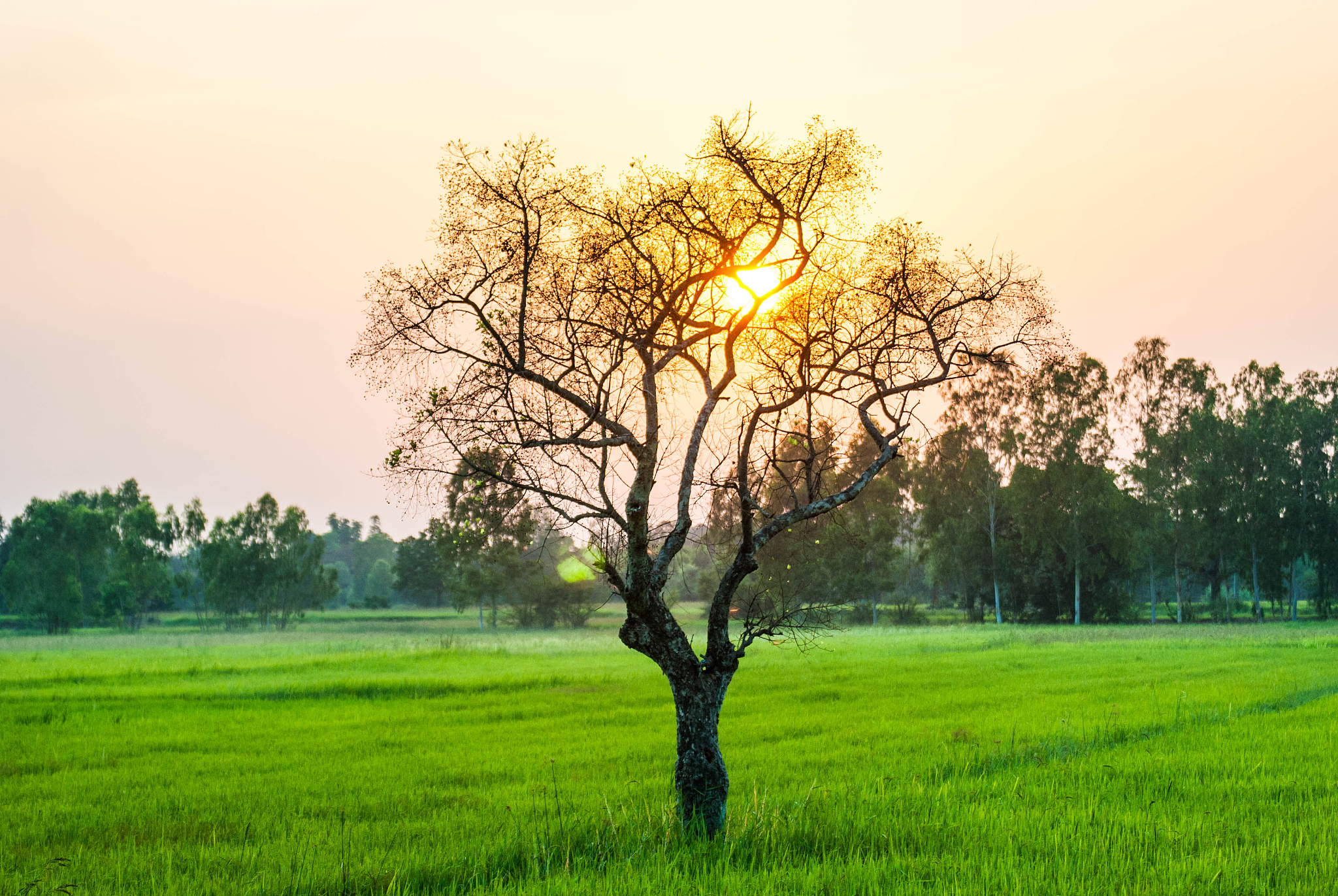红河中专学校专业介绍：学什么？有哪些专业可以选择？