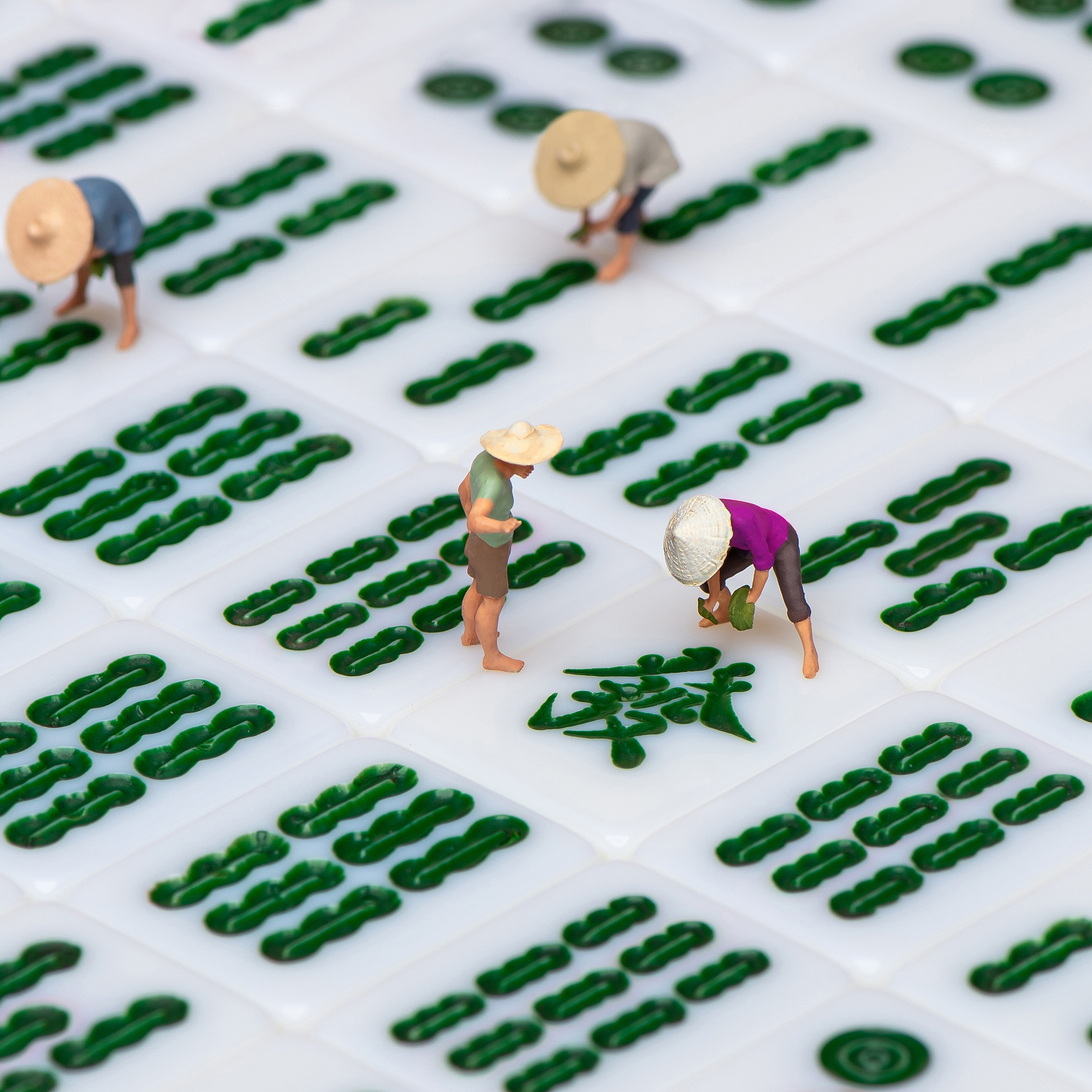 江苏传媒学校2023年招生专业：如何选择适合你的专业