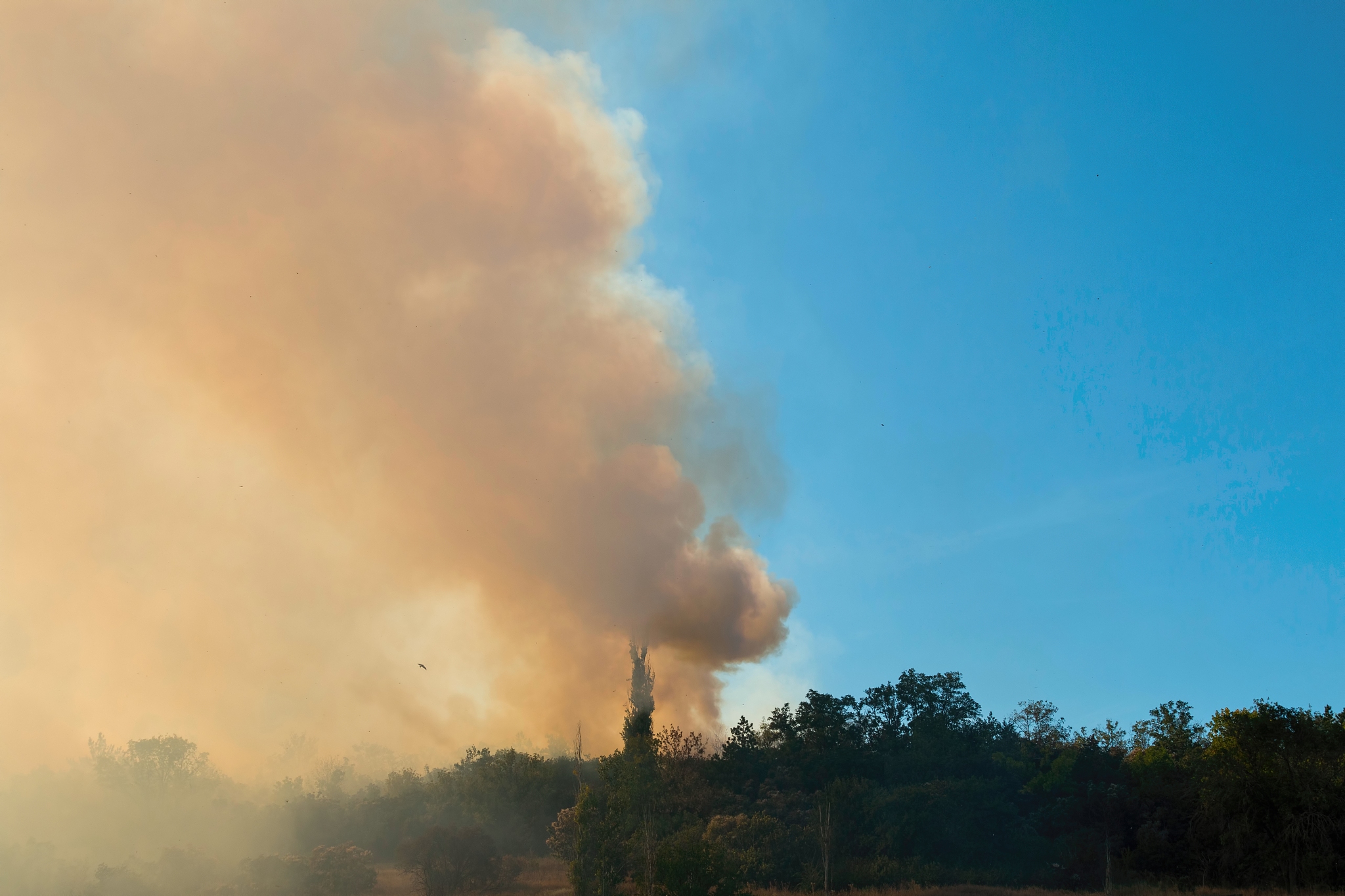 检查一下以下文字的语法和写作问题：野火是全球陆地生态系统中重要的生态过程和最主要的干扰形式之一1-4。2002至2016年间全球平均每年约起火1300万次过火面积Burned area达423万平方公里5 6。一方面野火具有调节生物特征、种群大小、群落组成、碳和营养循环等生态效益；另一方面野火如毁林火灾和泥炭地火灾会破坏地表植被并导致大量碳排放影响着区域及全球碳循环对气候变化产生反馈作用7-9。越