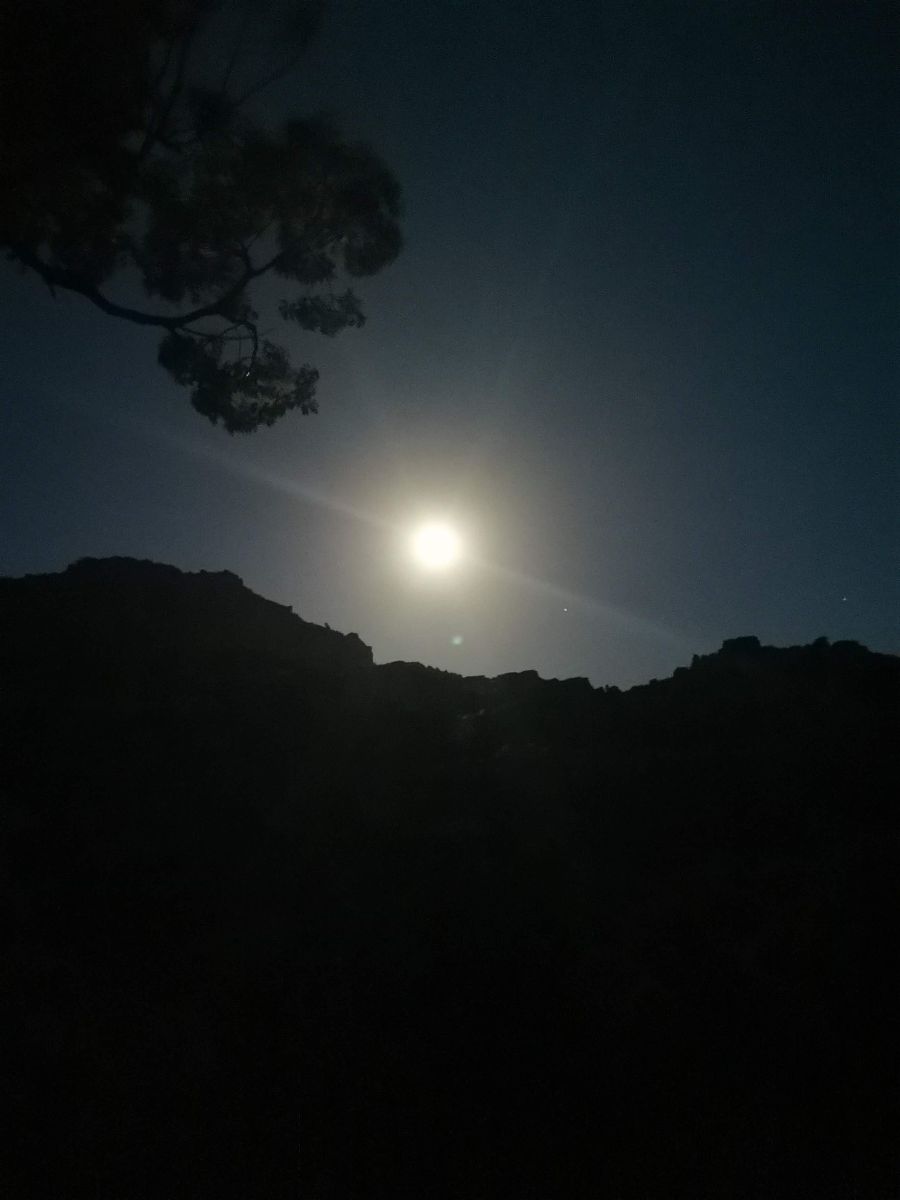 关于月亮的诗歌：赞美月色的美丽与神秘