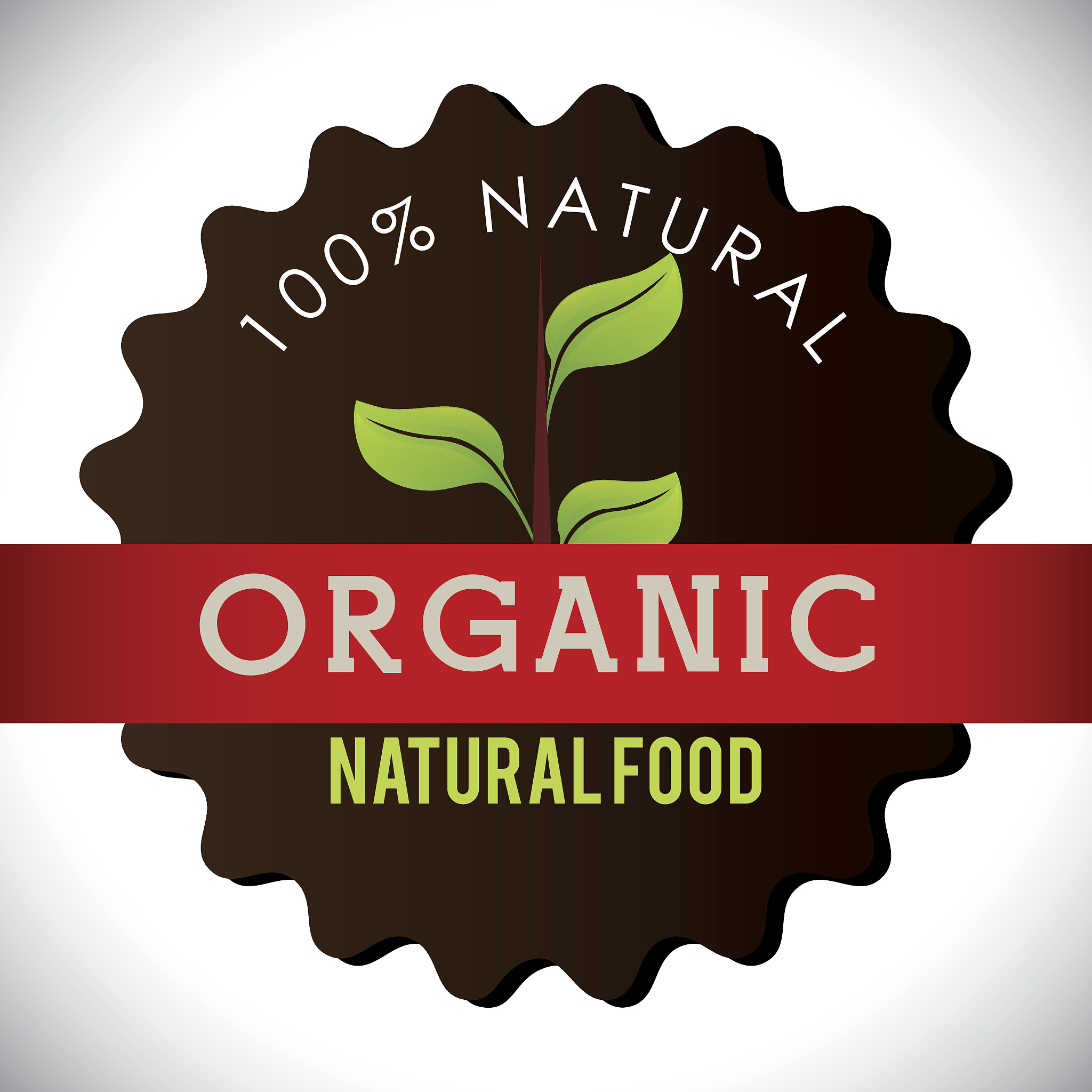 广东环境保护工程职业学院烹饪工艺与营养专业怎么样