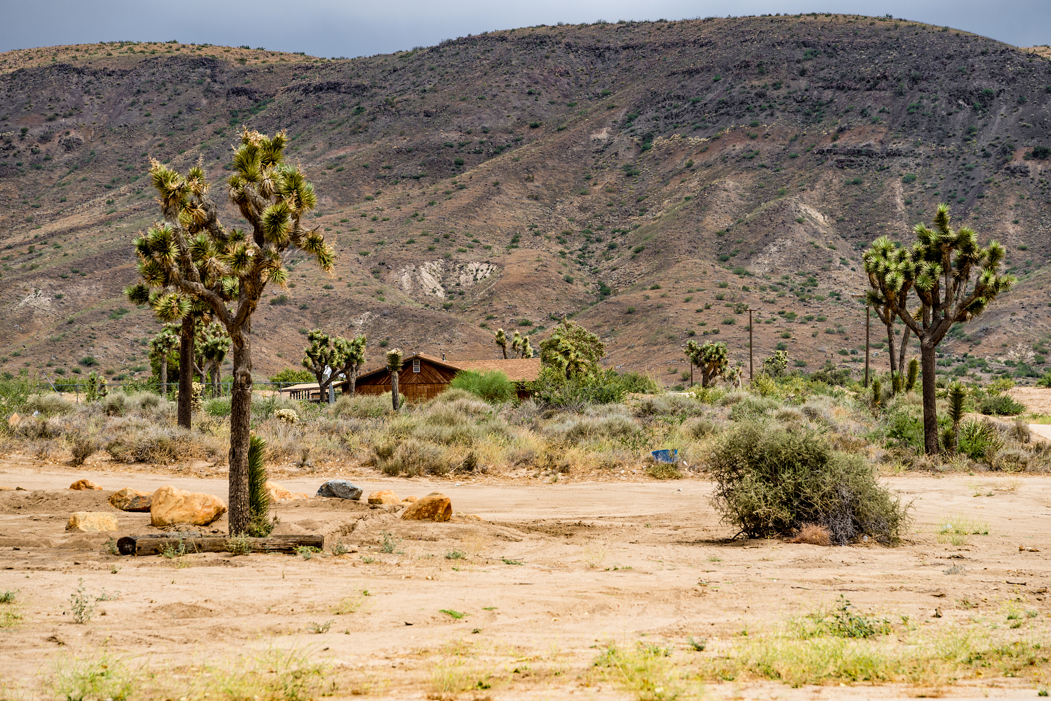 pioneertown, california