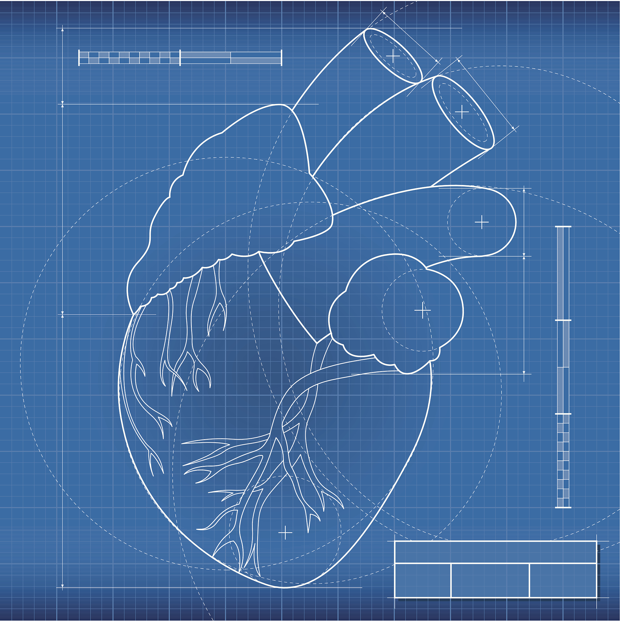 脾不主时是什么意思？详细解读脾不主症状及调理方法