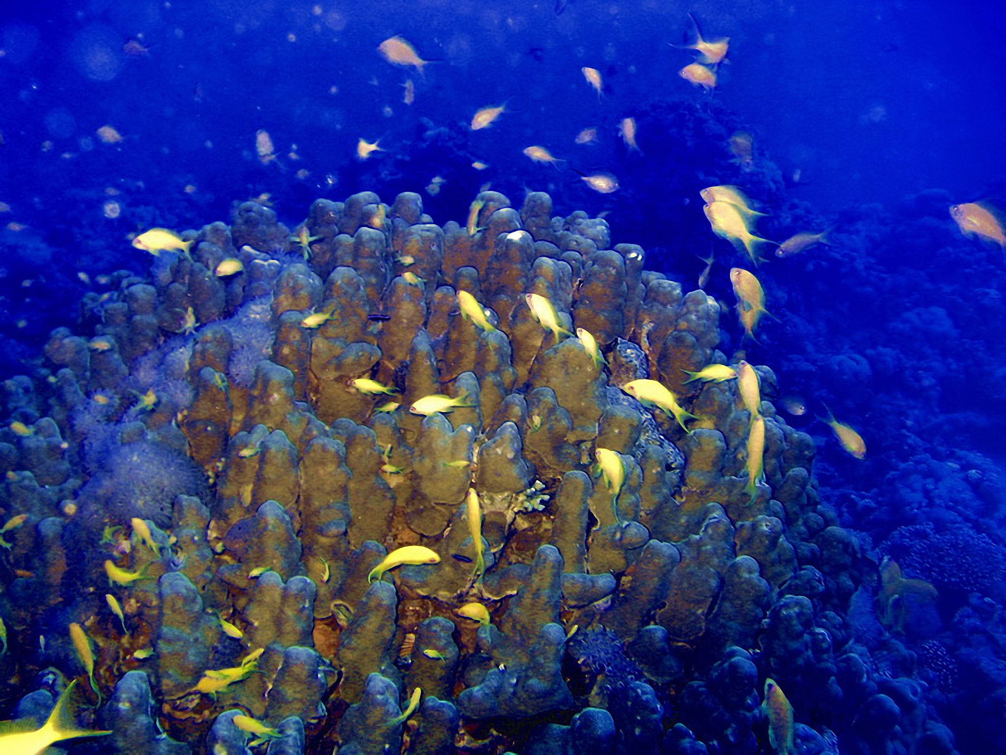 2023年海洋科学专业就业方向 好找工作吗