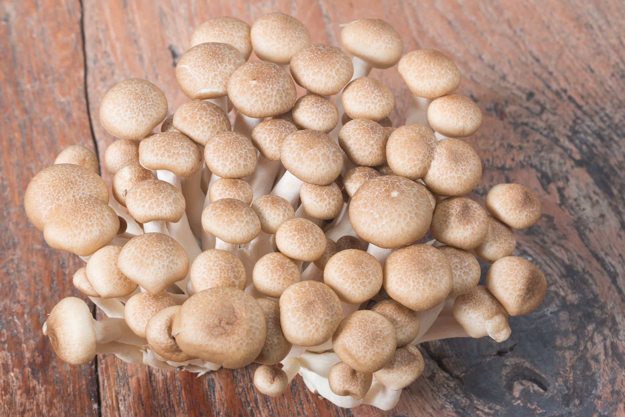 写一篇小红书软文带宝宝春游凸显出果泥的方便