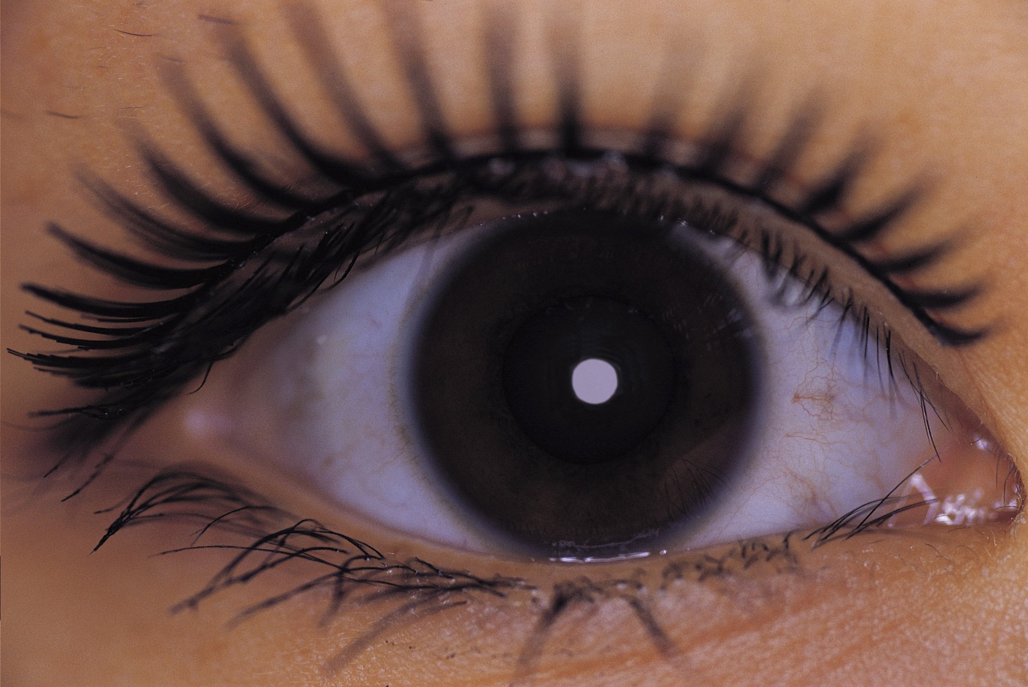 close-up of woman's eye