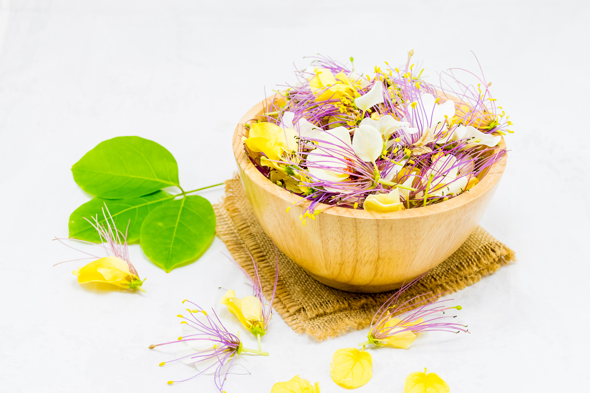 云南曲靖农业学校2019年招生简章：五年制普通大学招生计划公布