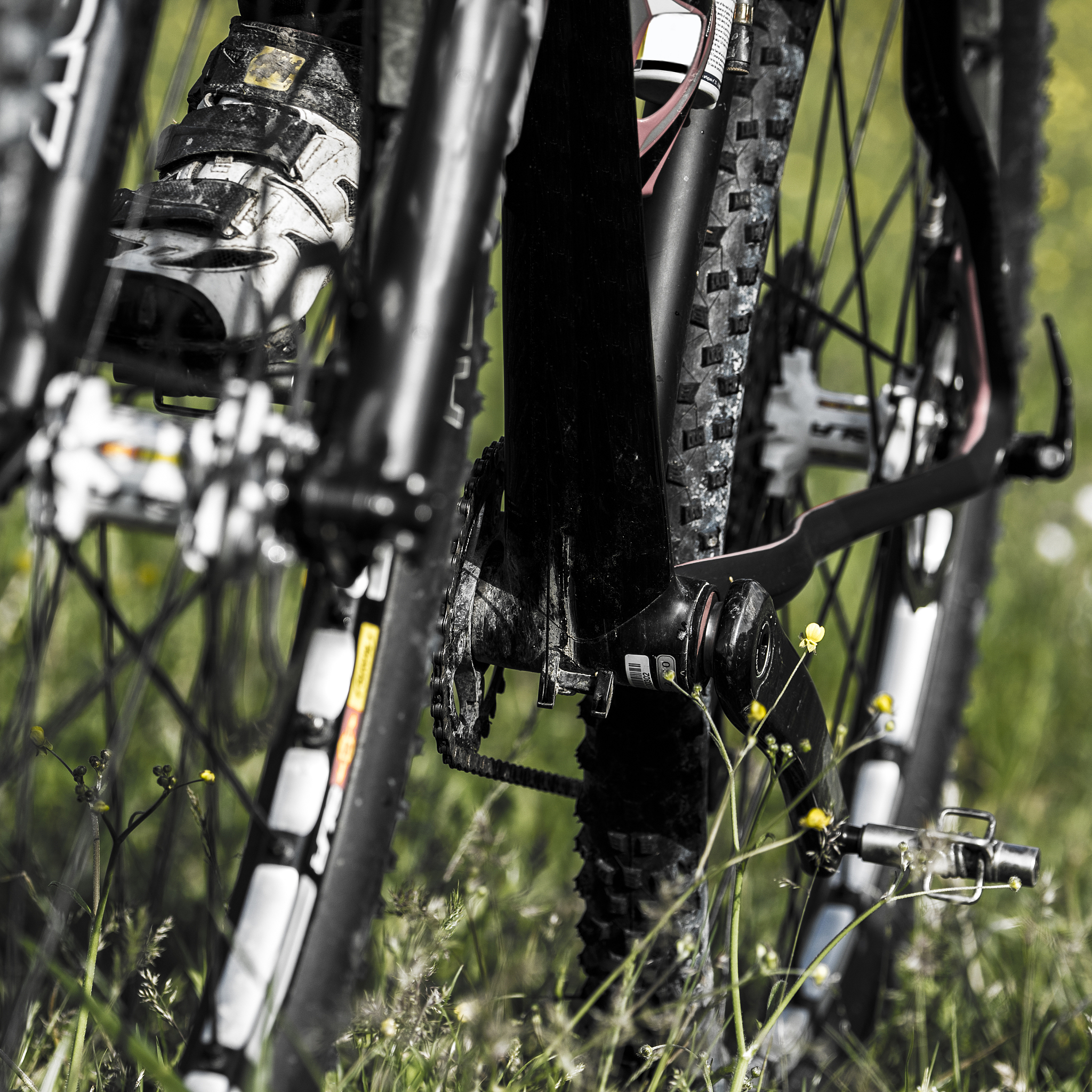 Giant TCR Advanced 1公路车：轻量化、高性能和舒适