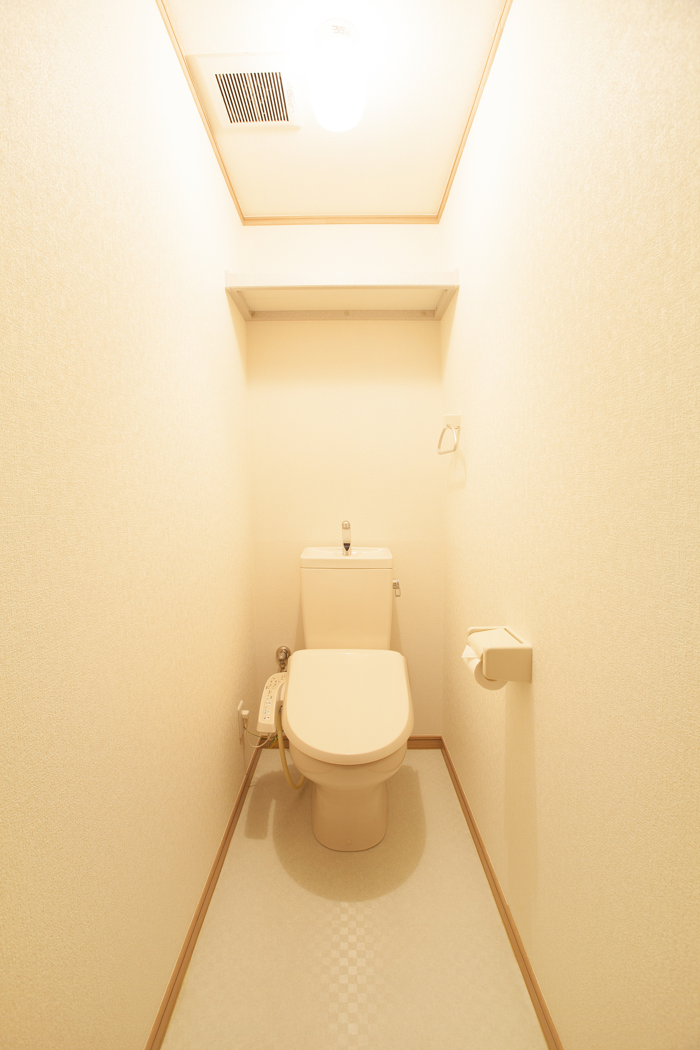 home flush toilet