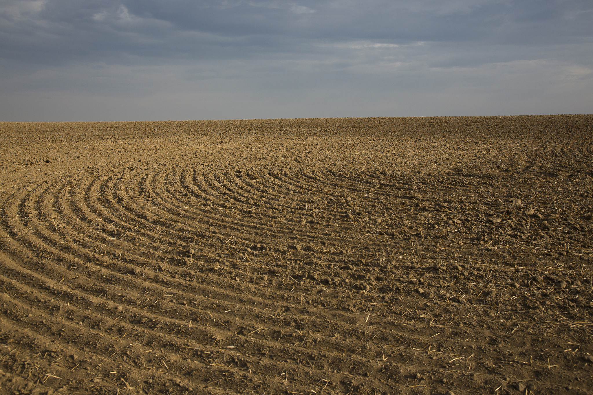 生态学研究的目标：理解生物与环境的互动