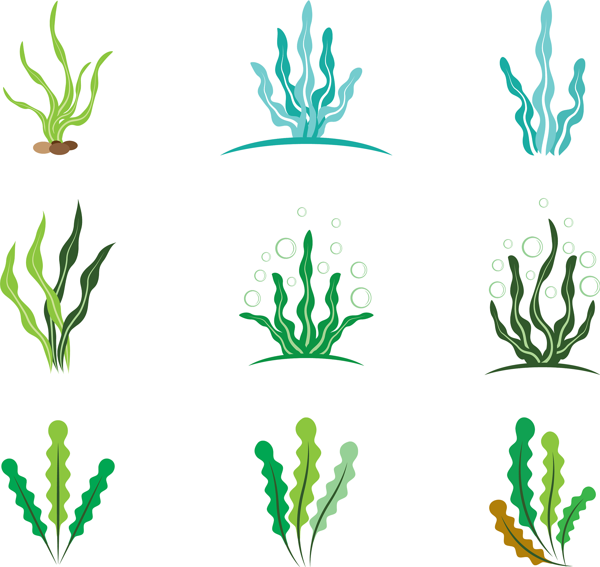 seaweed logo template icon