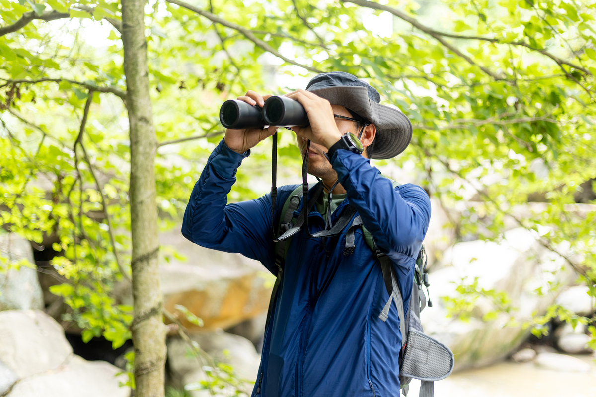 摄影爱好者职业选择：从摄影师到艺术家