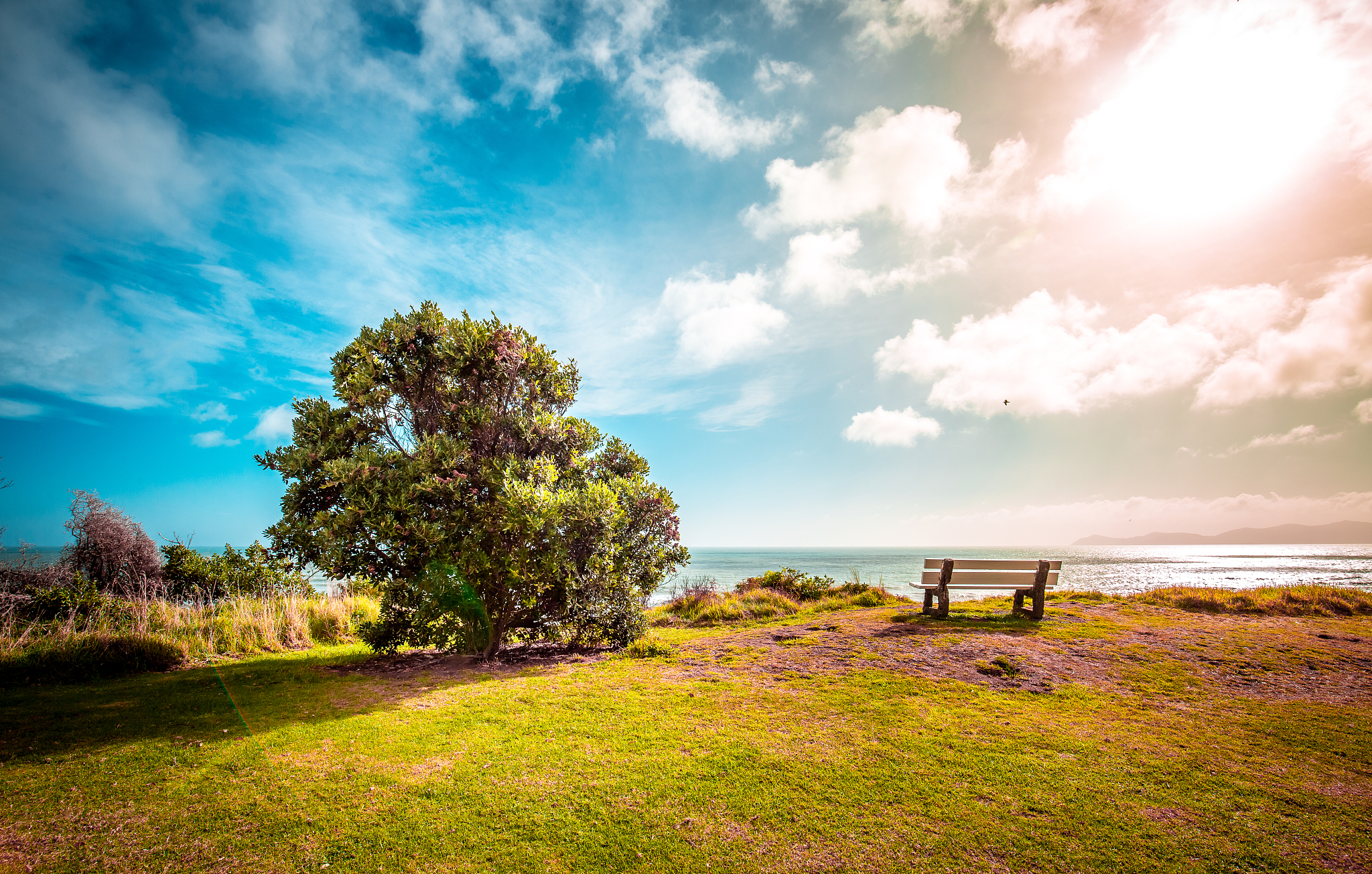 以你是我心中最美丽的风景为题写一篇至少700字的作文