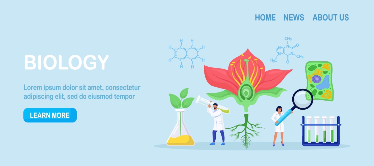 Methods in Ecology and Evolution 期刊：推动生态学与进化生物学方法创新