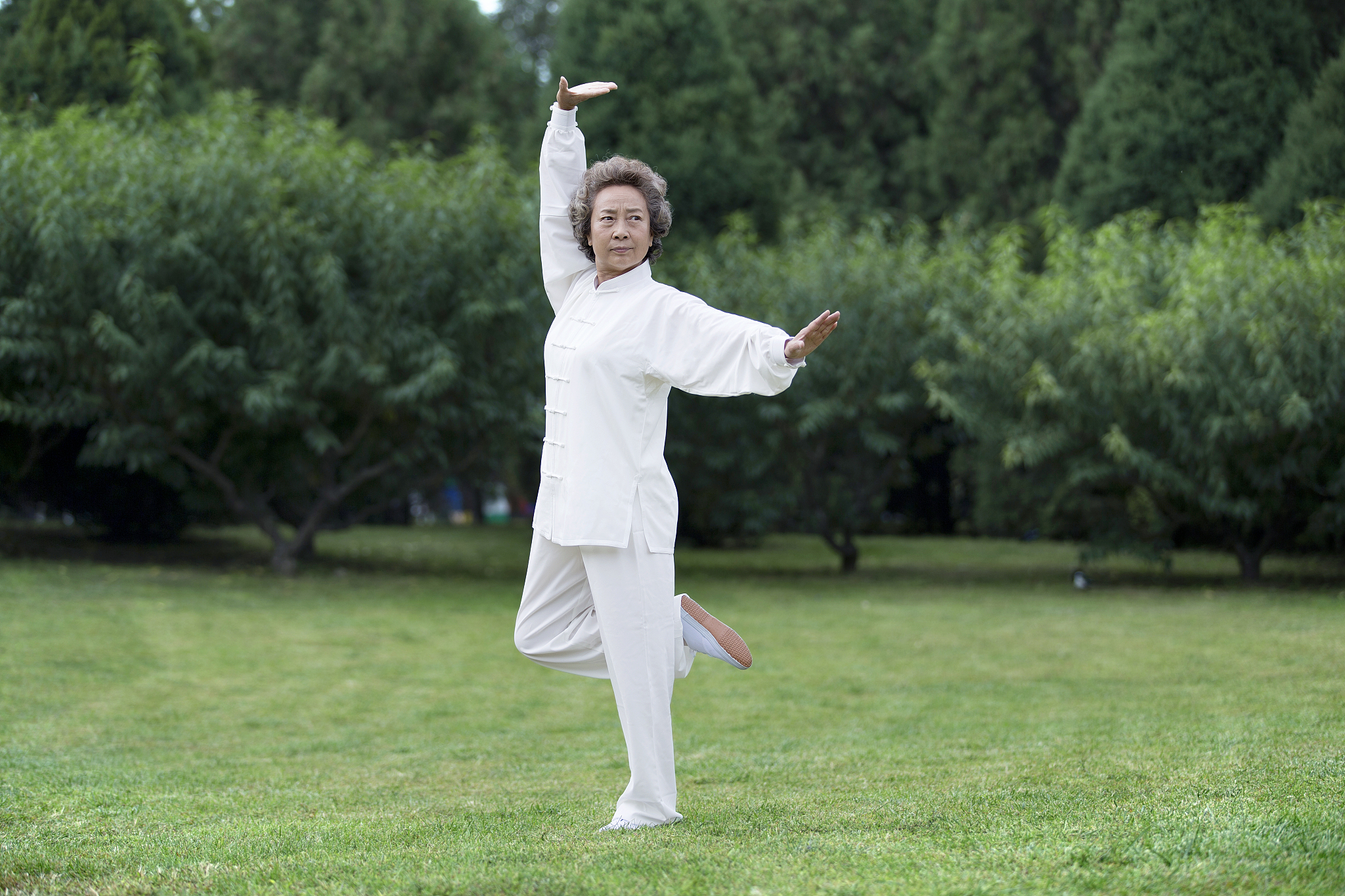 太极拳专业就业方向：从教练到推广员，你的选择有哪些？