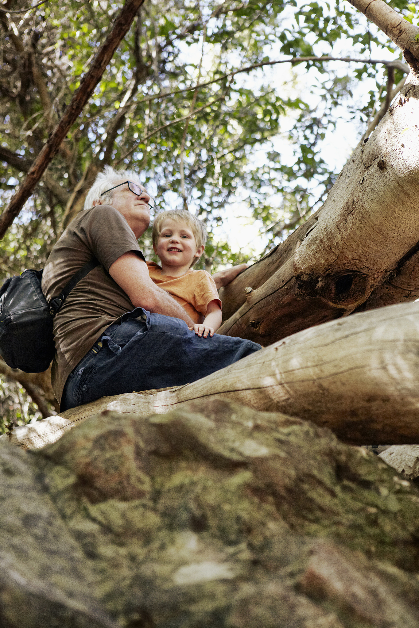 father and son sitting up in a tree