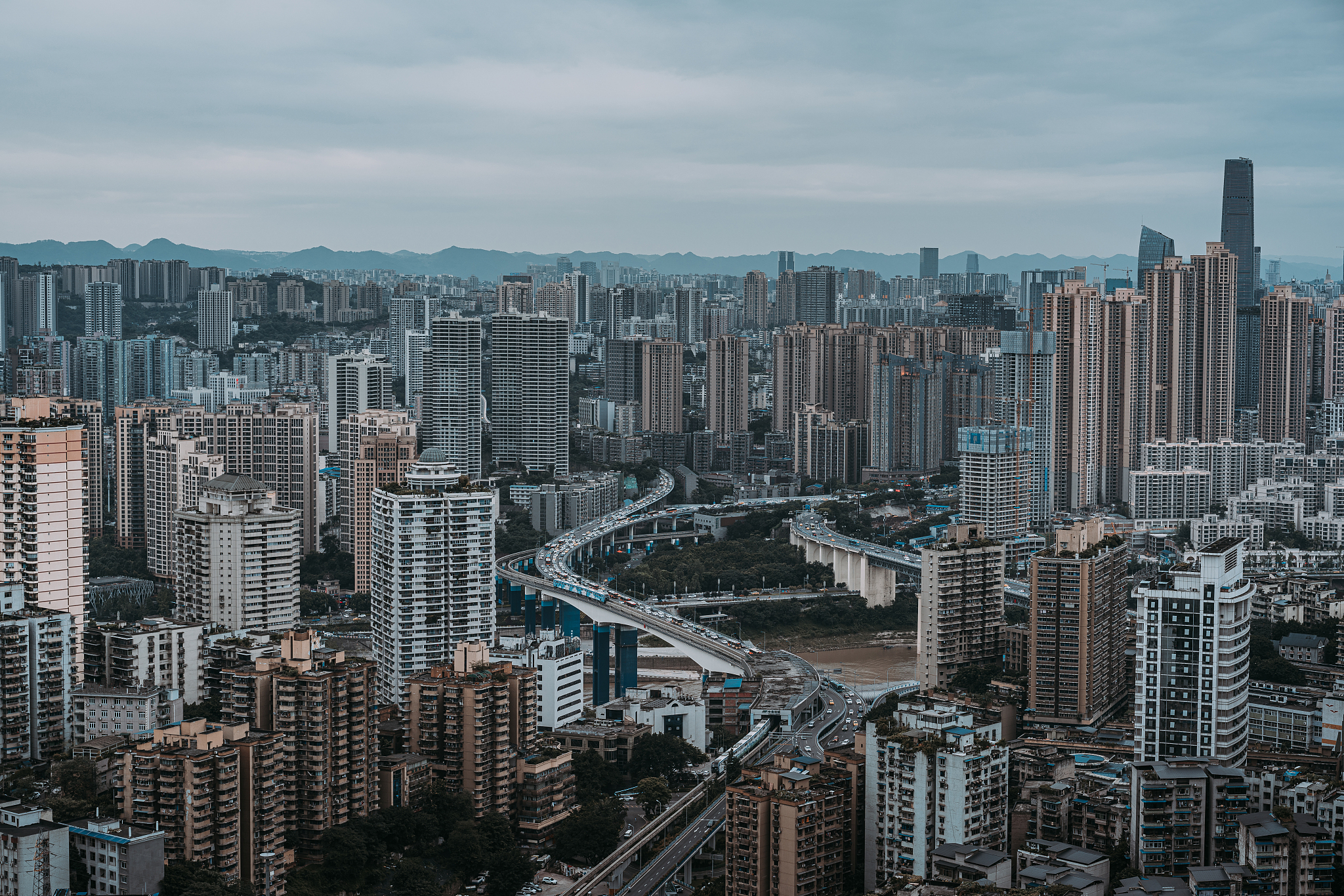 论述重庆市森林资源维护现状不少于800字。