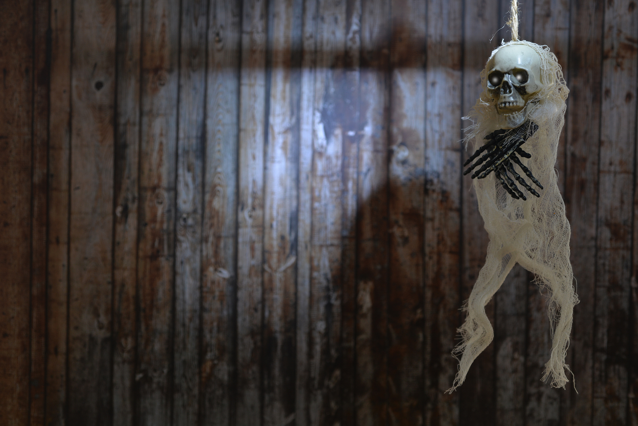 terrible skeleton on the gallows. halloween spirit.