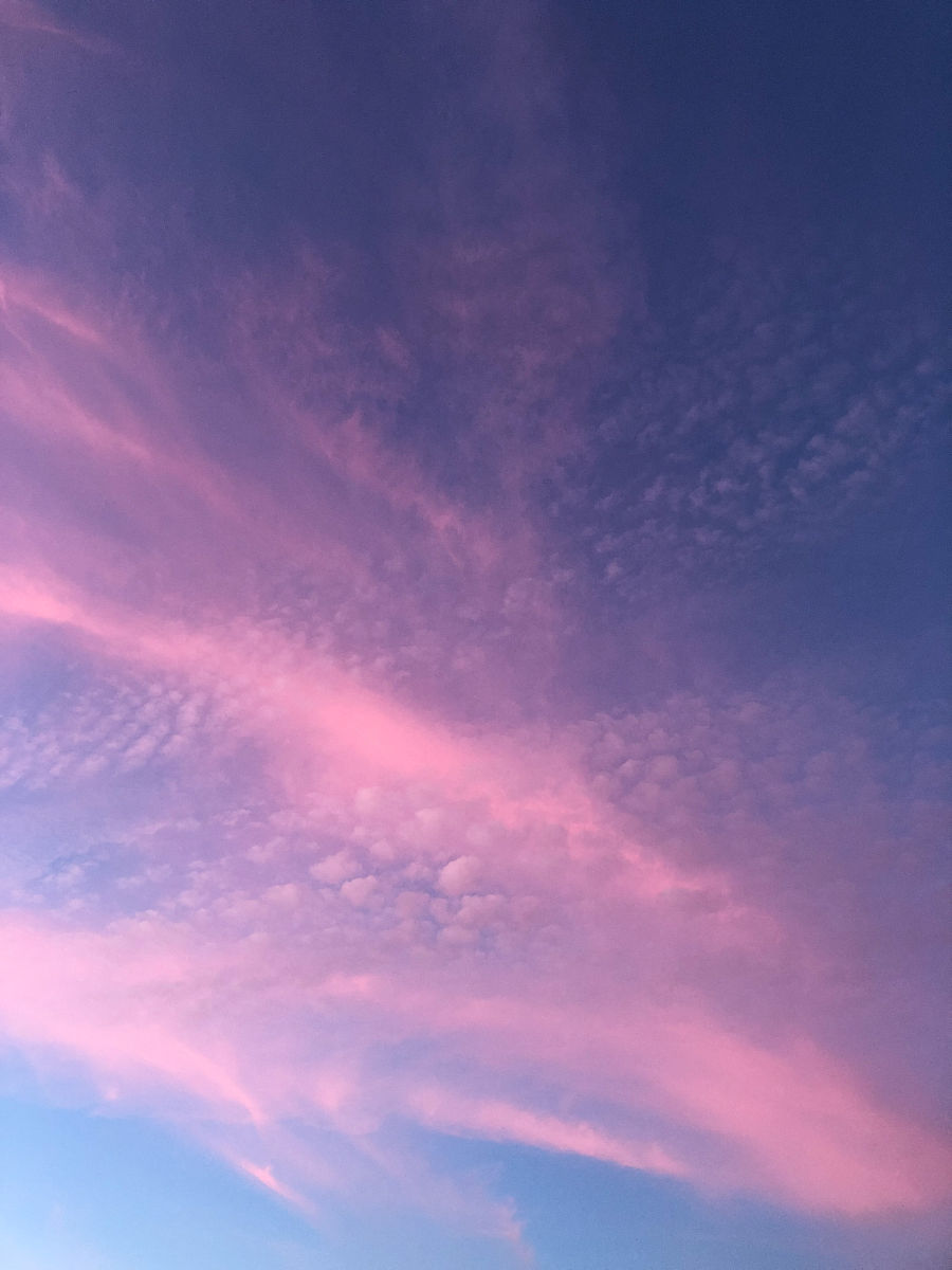 魅族20 Pro 星辰紫 拍摄：宛如紫色云彩的梦幻色彩