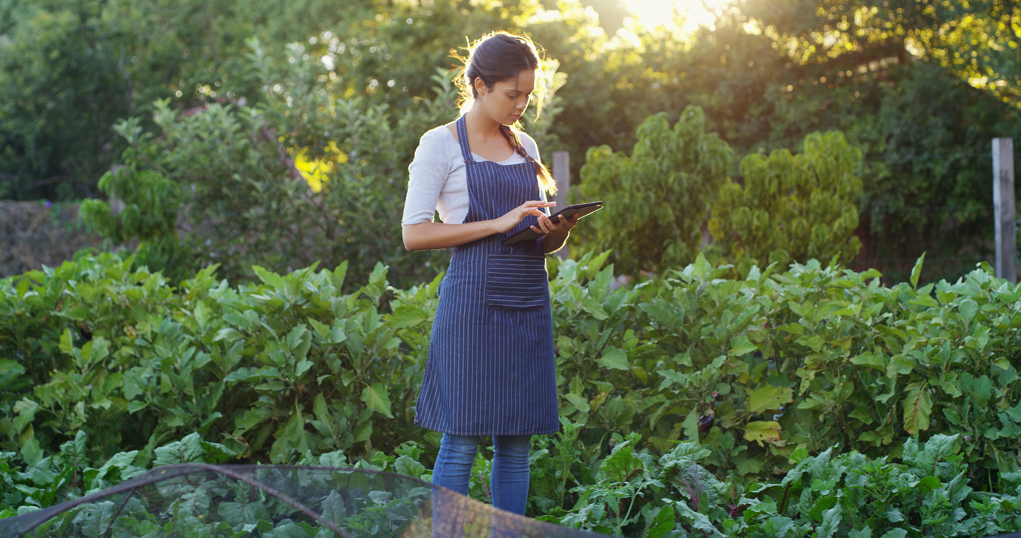 铜仁市中等职业学校设施农业生产技术专业教学主要内容都有哪些