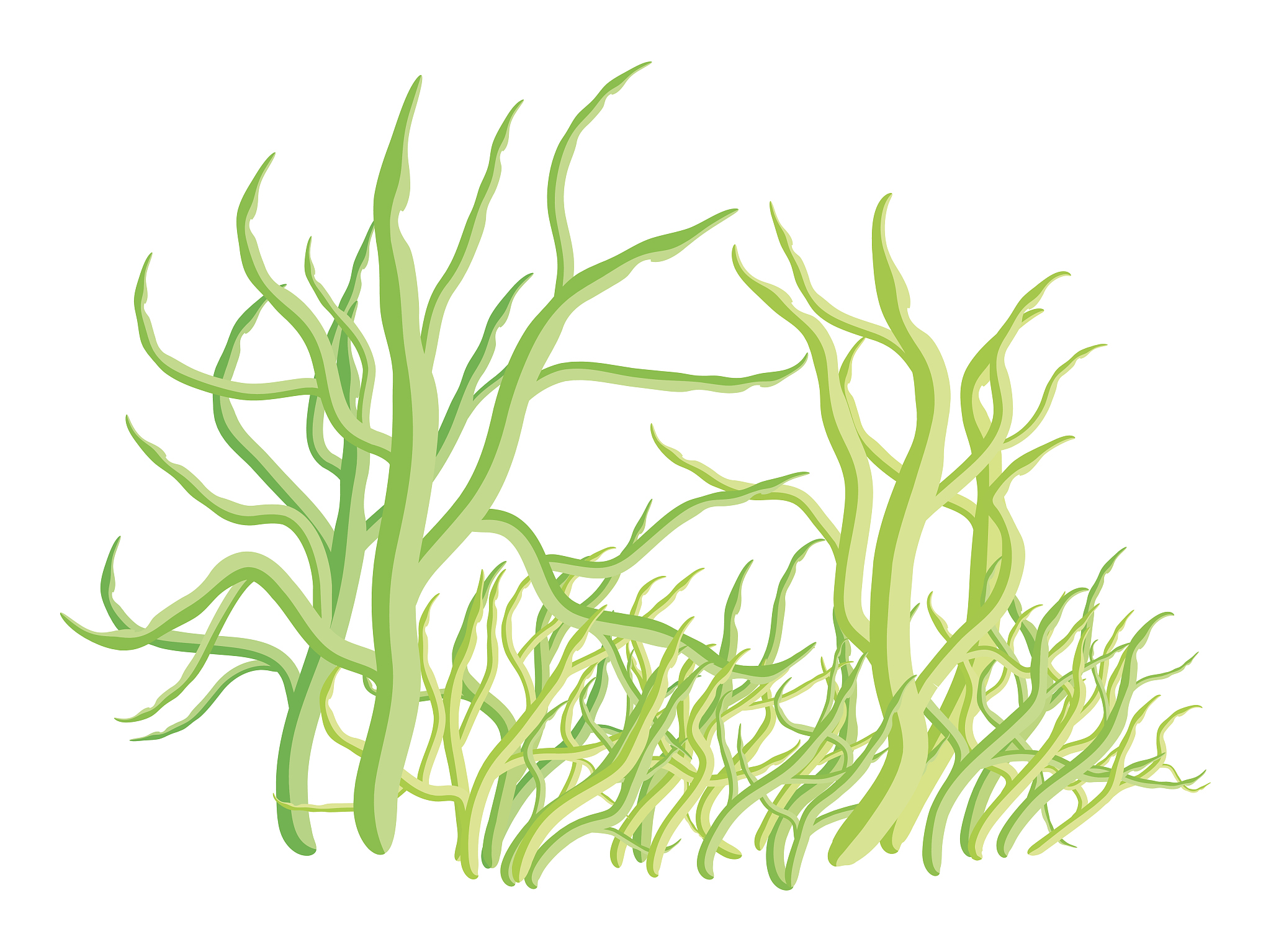 algae vector symbol icon design. beautiful illustration isolated