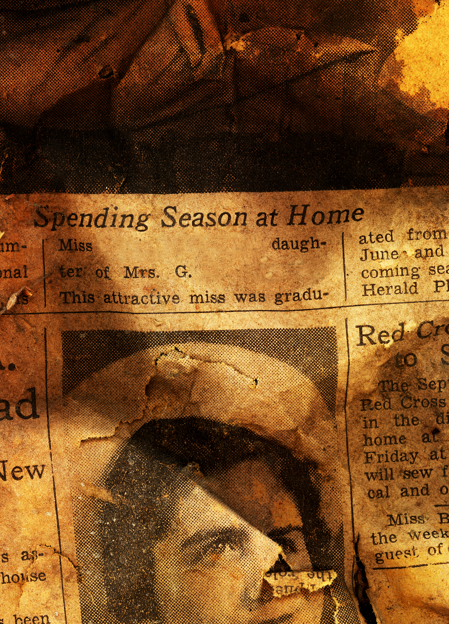 Dr. Martin Luther King Jr. - A Role Model for Equality