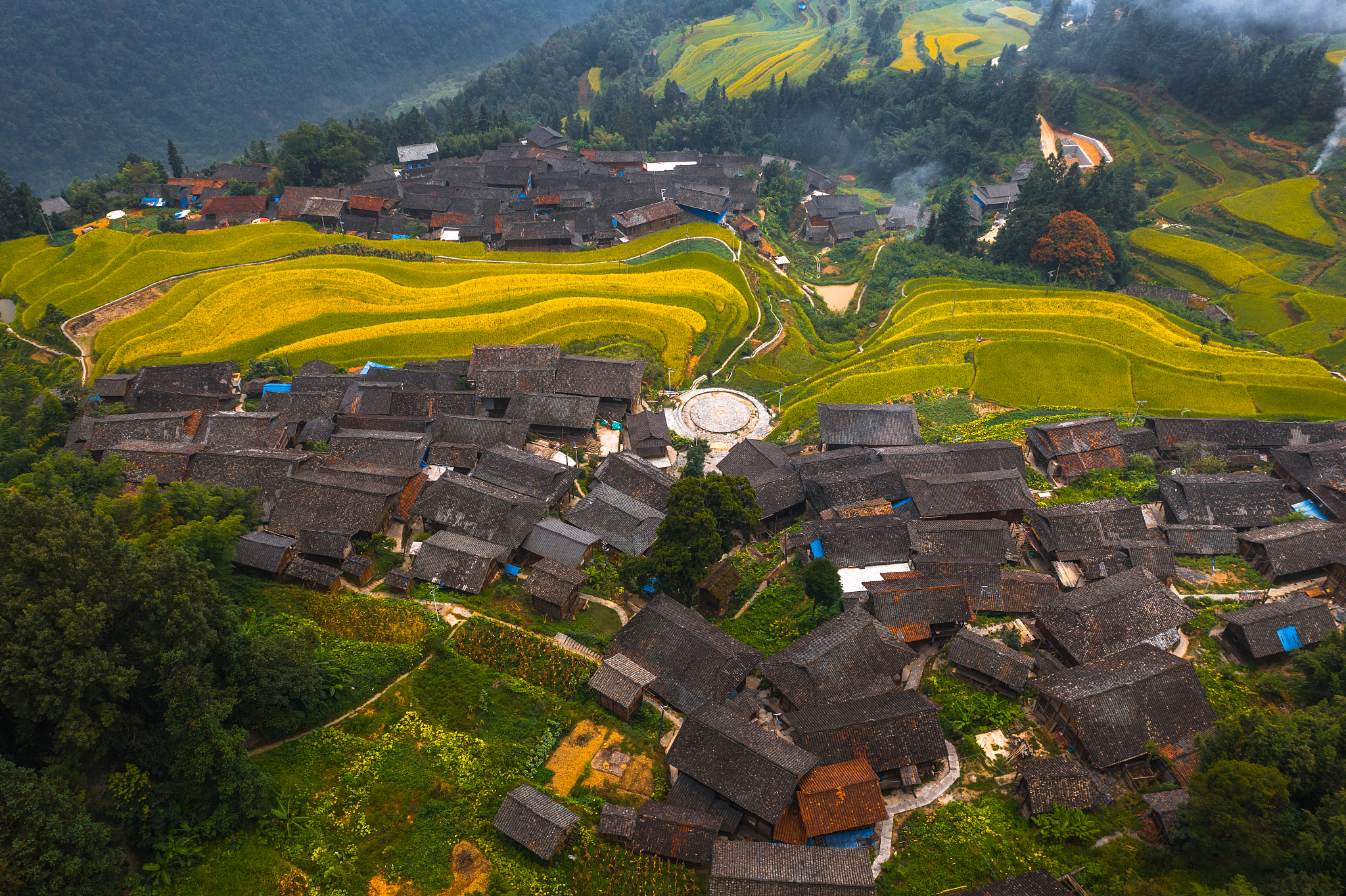 贵州省农业广播电视学校招生办电话：0851-85739156