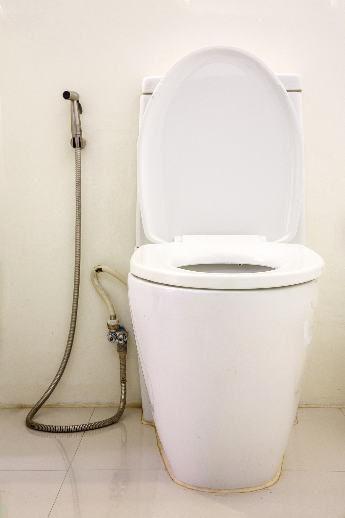 flush toilet