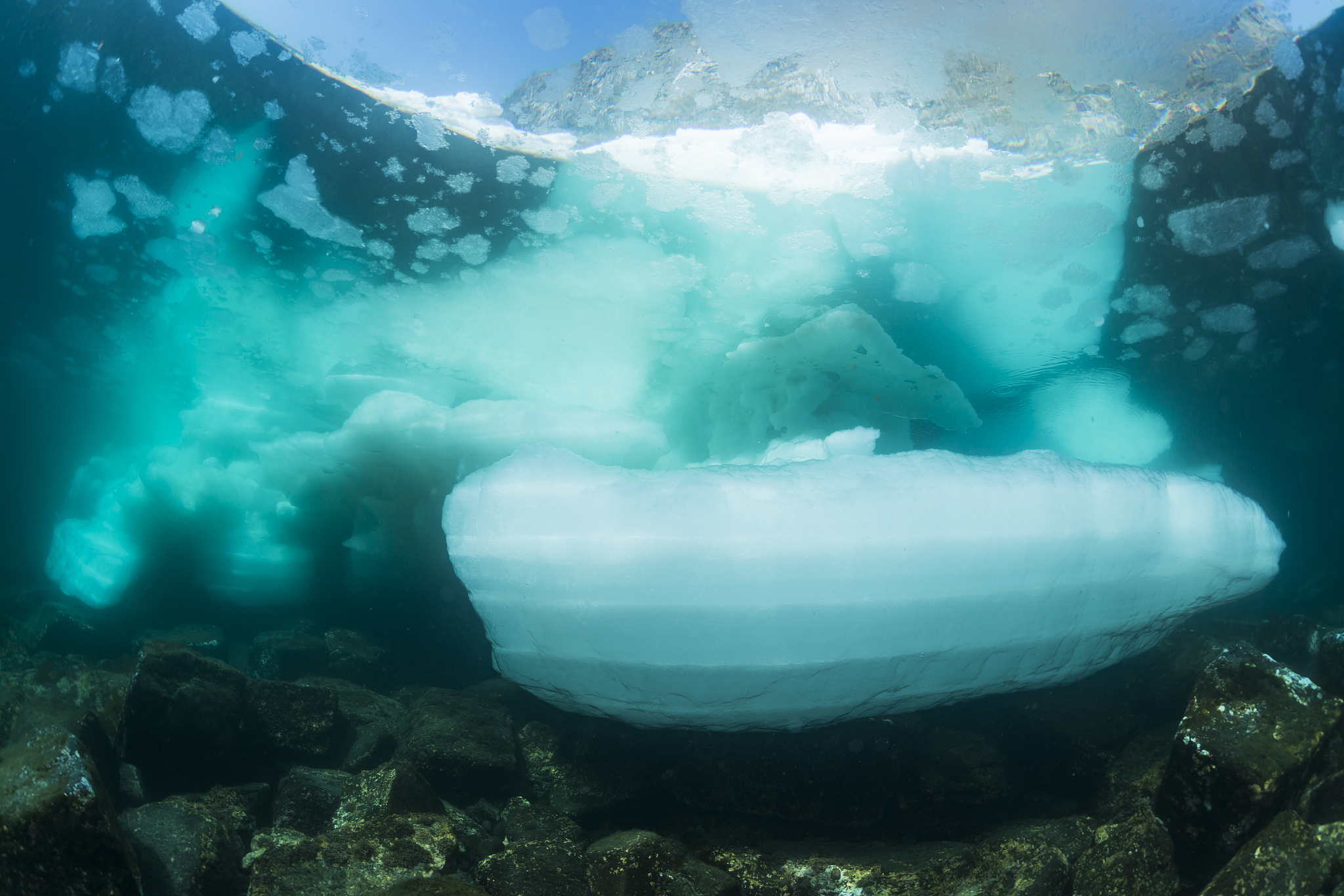 drift ice