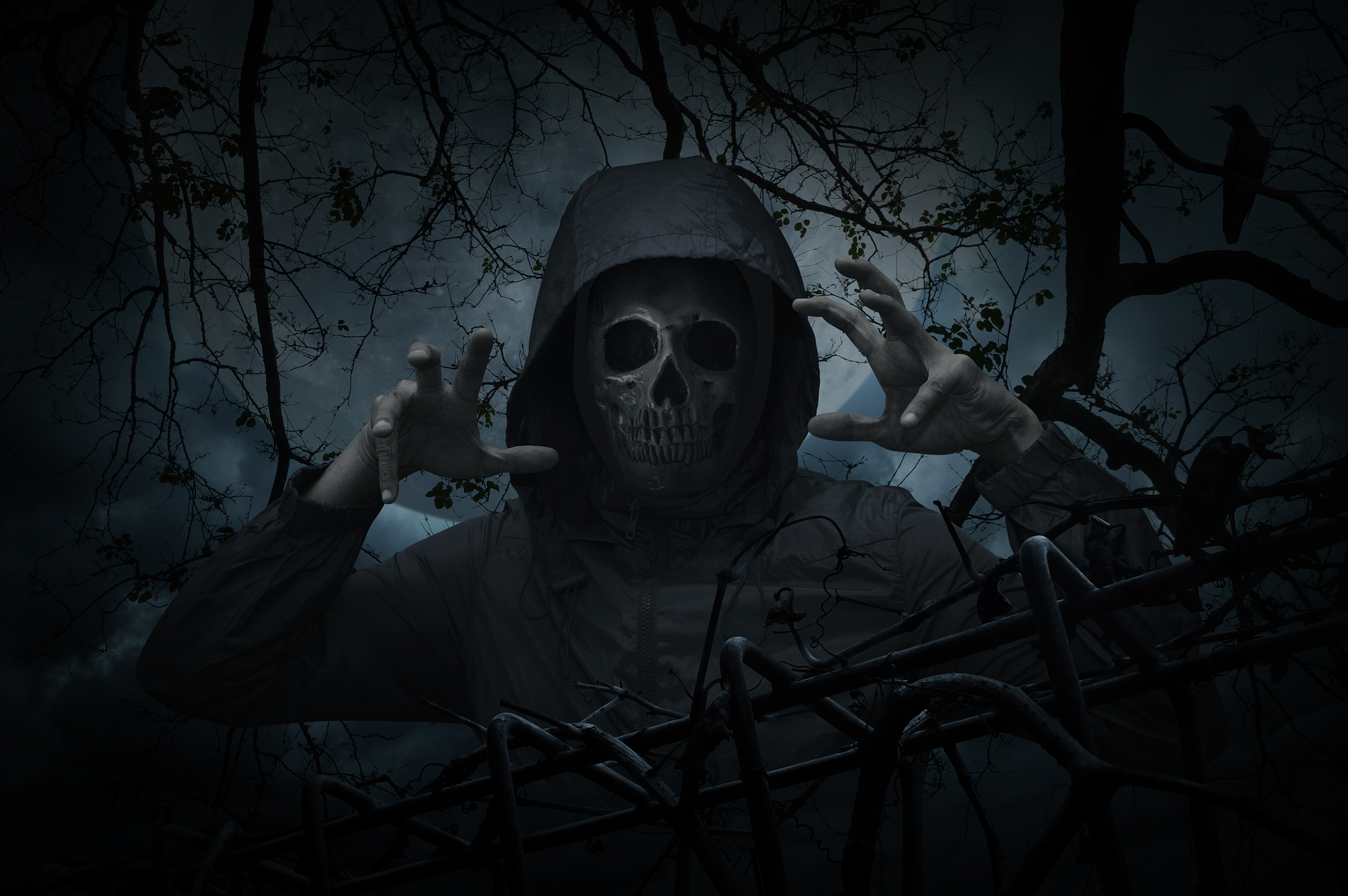 human skull in jacket with old fence over dead tree, crow, moon 