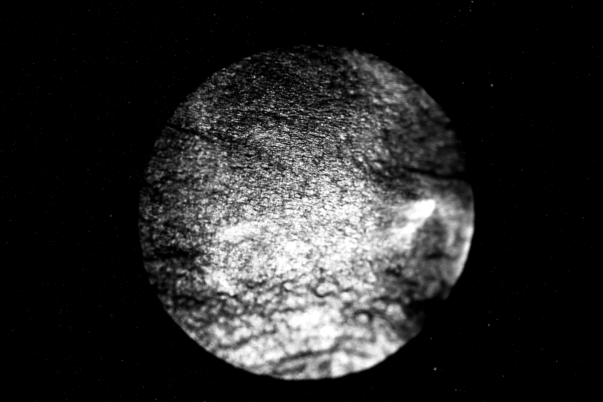 探索未知: 揭秘神秘领域的奇特活动