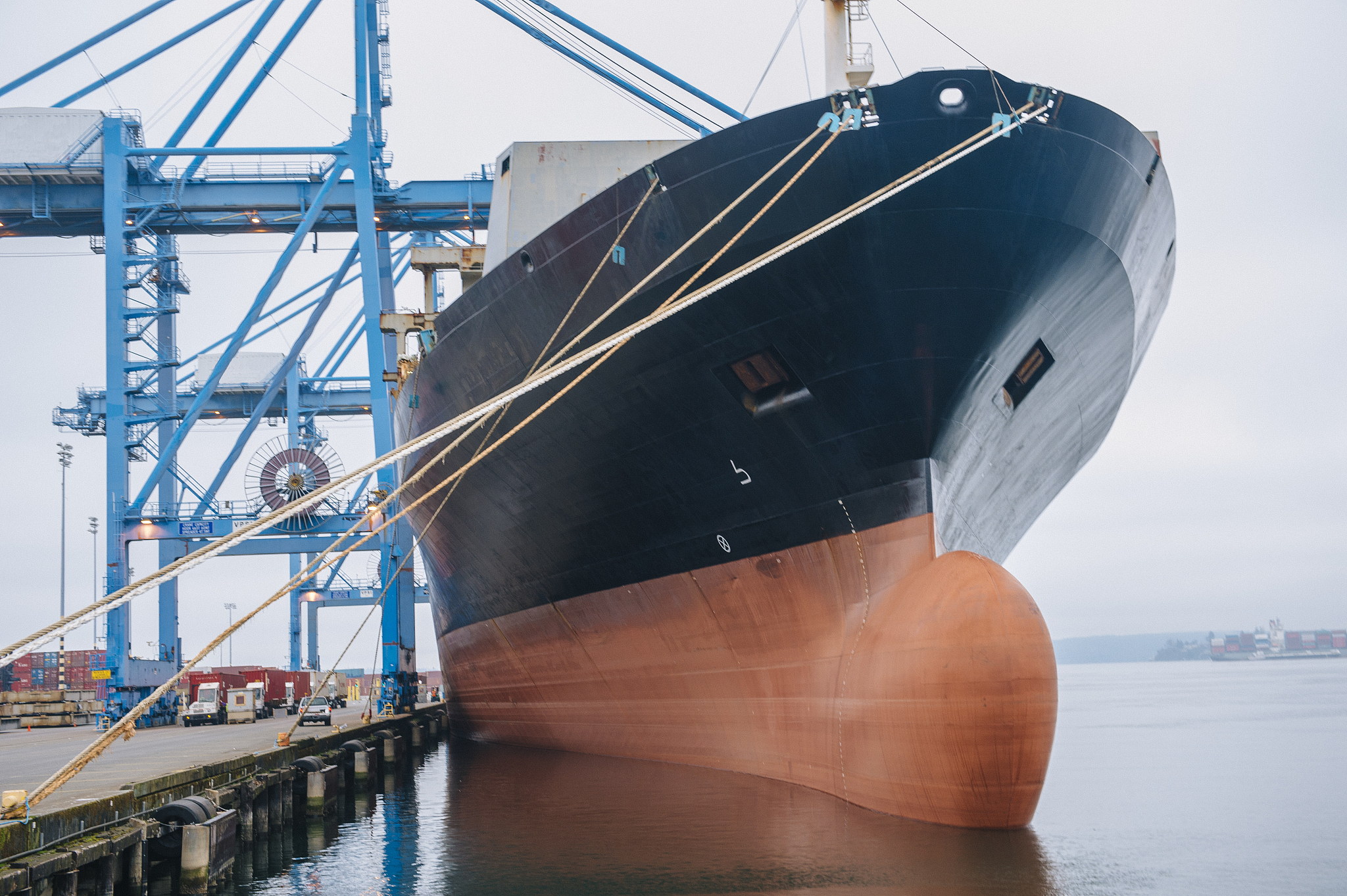cargo ship anchored in harbor, tacoma, washington, usa