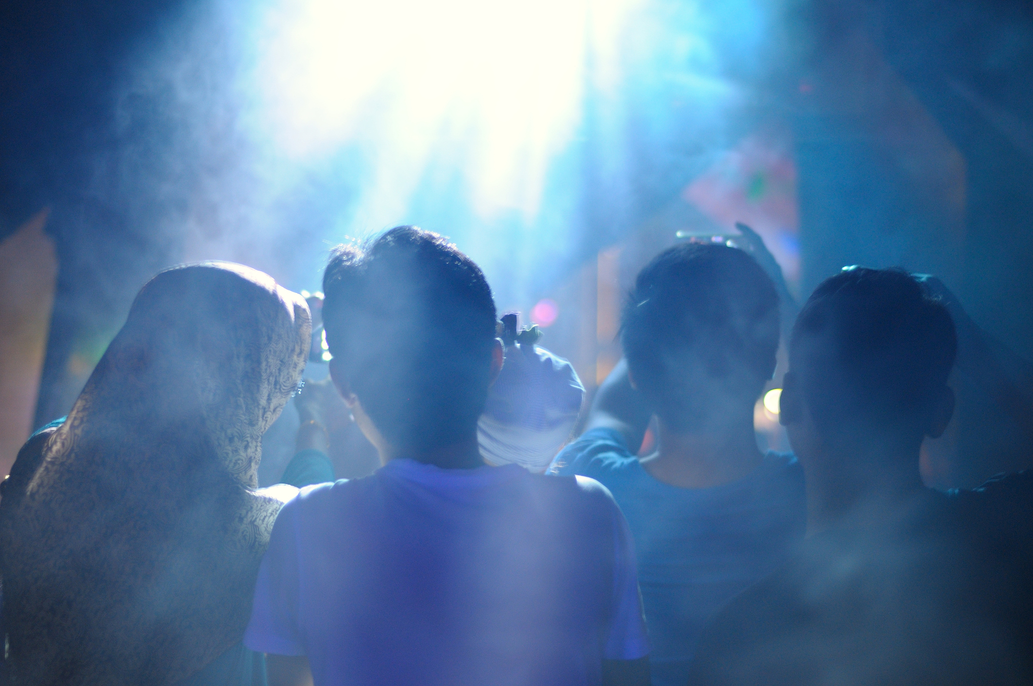 rear view of people at music concert