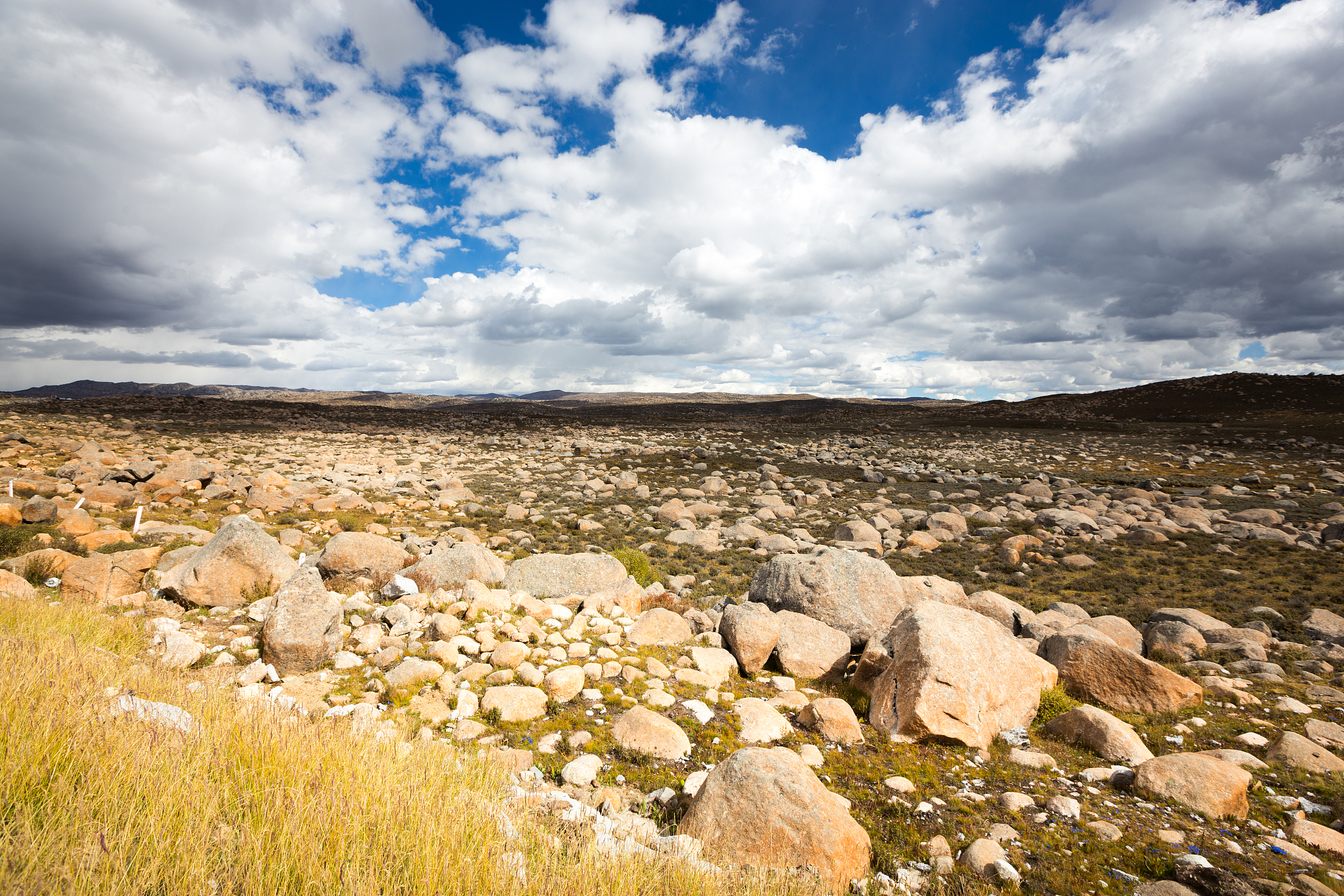 四川省哪些高职院校有汽车营销专业