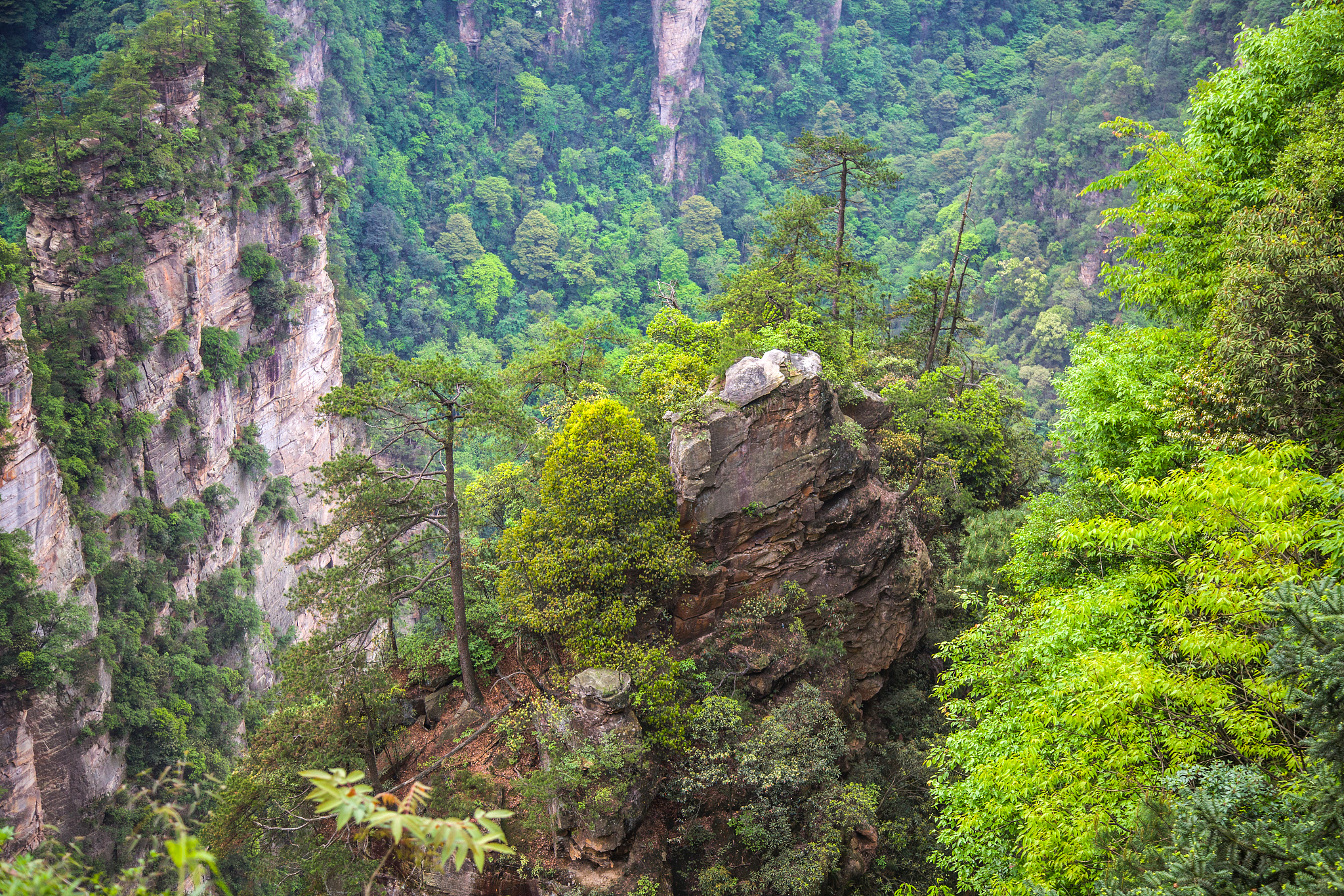 神农架7月旅行指南：必备物品清单，玩转自然风光