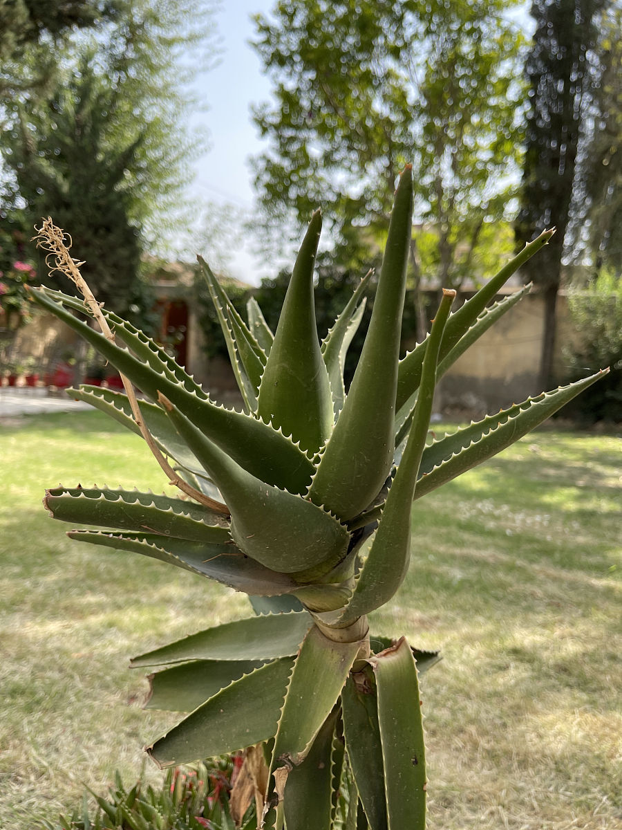 临沂职业学院环境怎么样？设施齐全，注重环保和学生健康