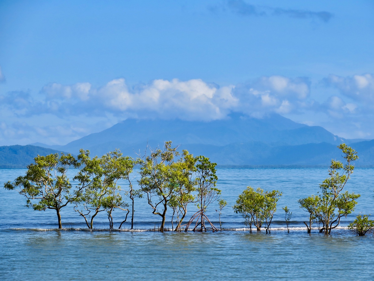裸辞后来到大理才发现裸辞晚了。写推文