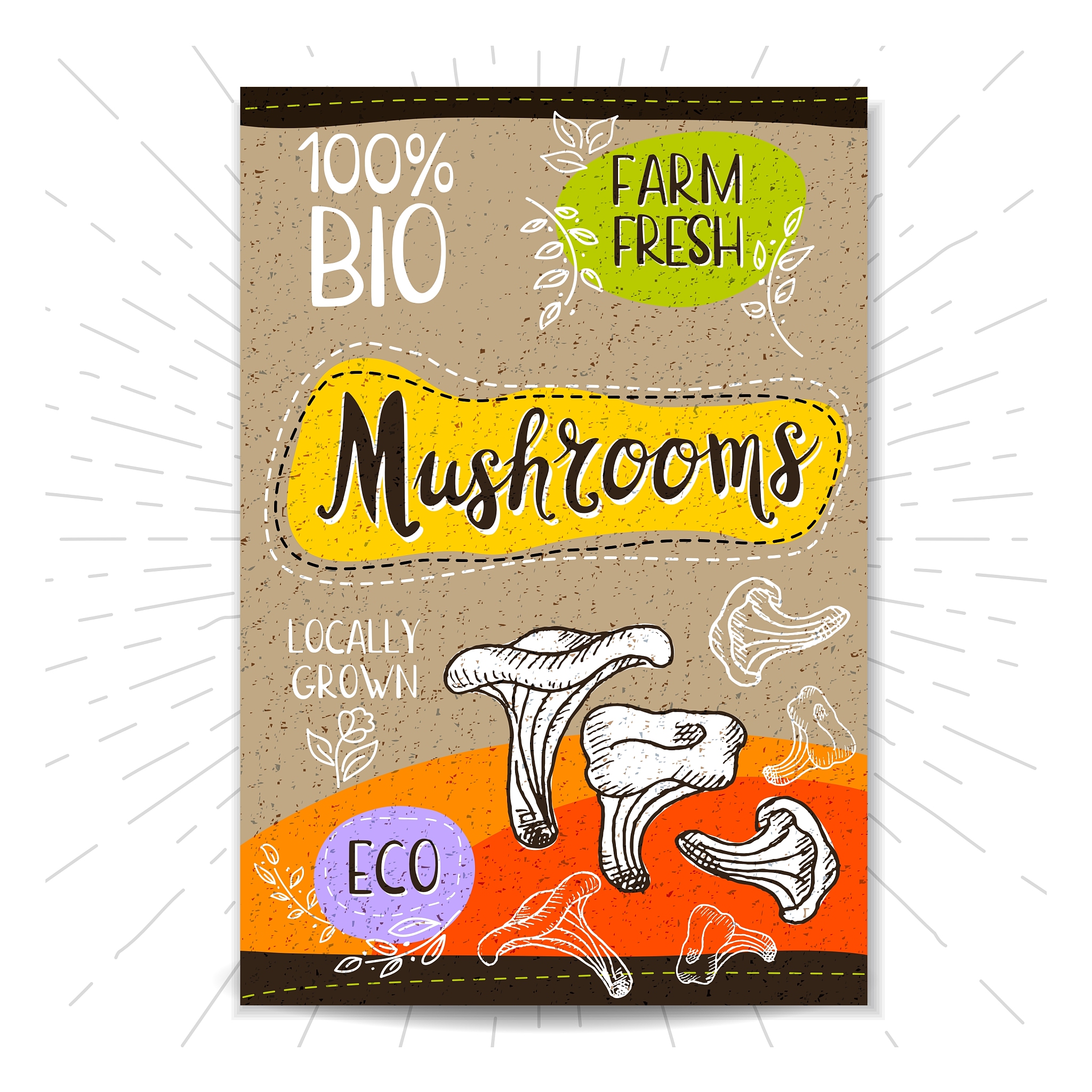 福建农业职业技术学院食品生物技术专业就业方向：从食品加工到环保