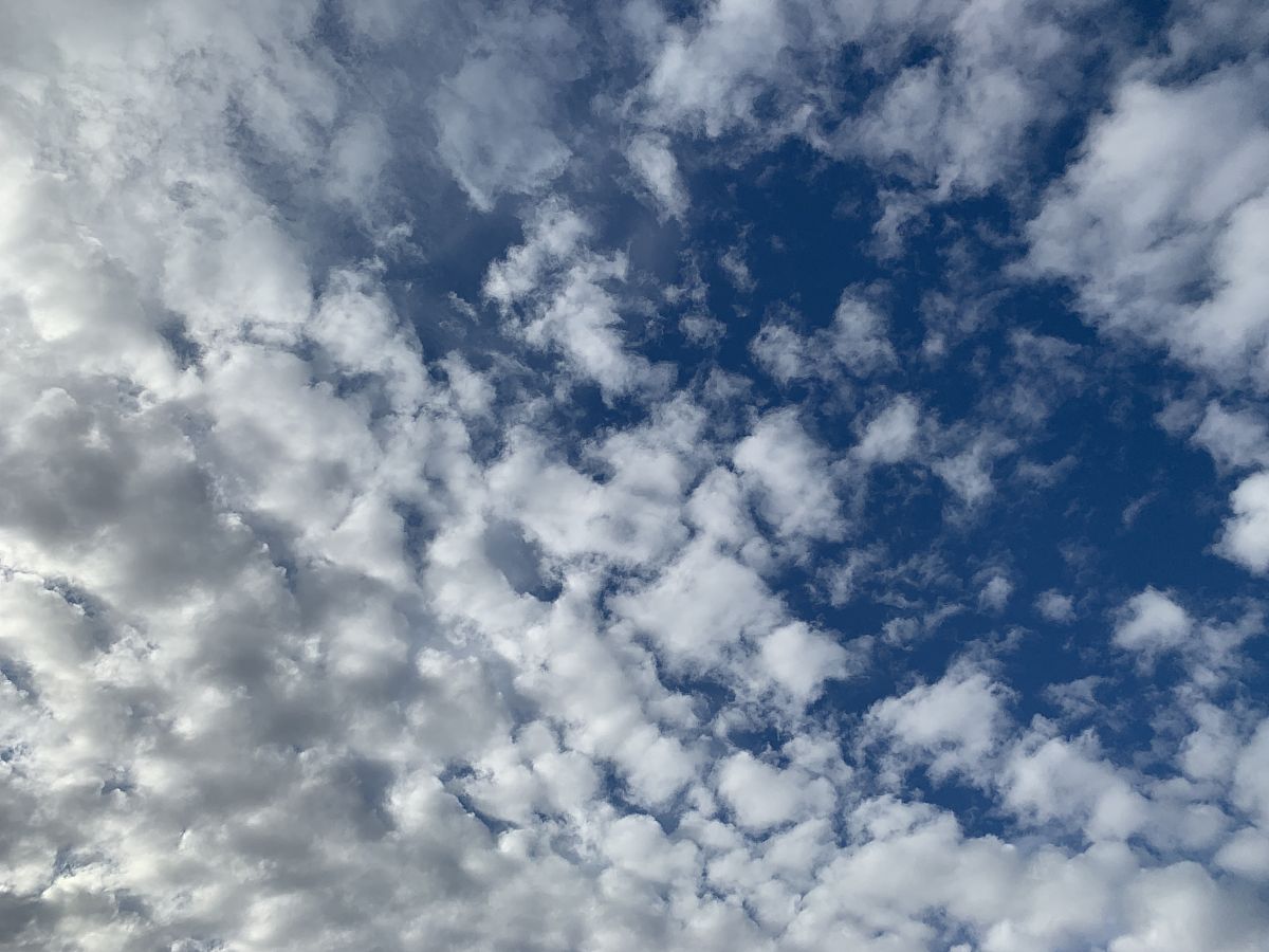 人力资源管理系统名字 名字 中文的