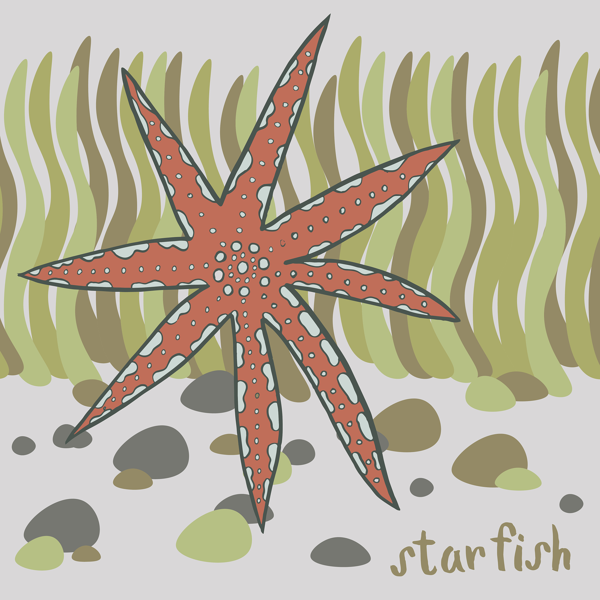 ornamental starfish