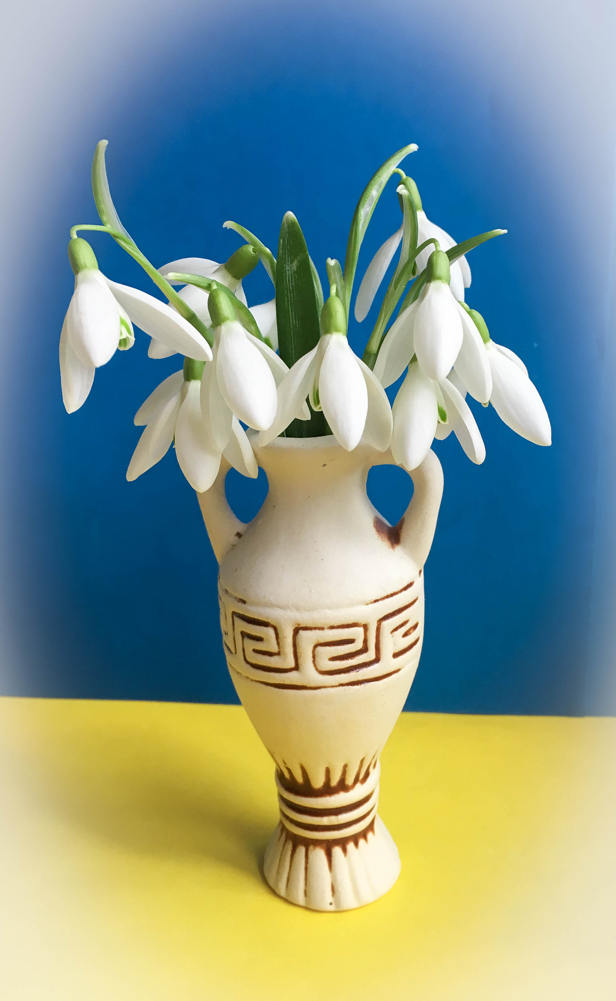 photo of the bouquet of the first spring flowers  snowdrops  in 